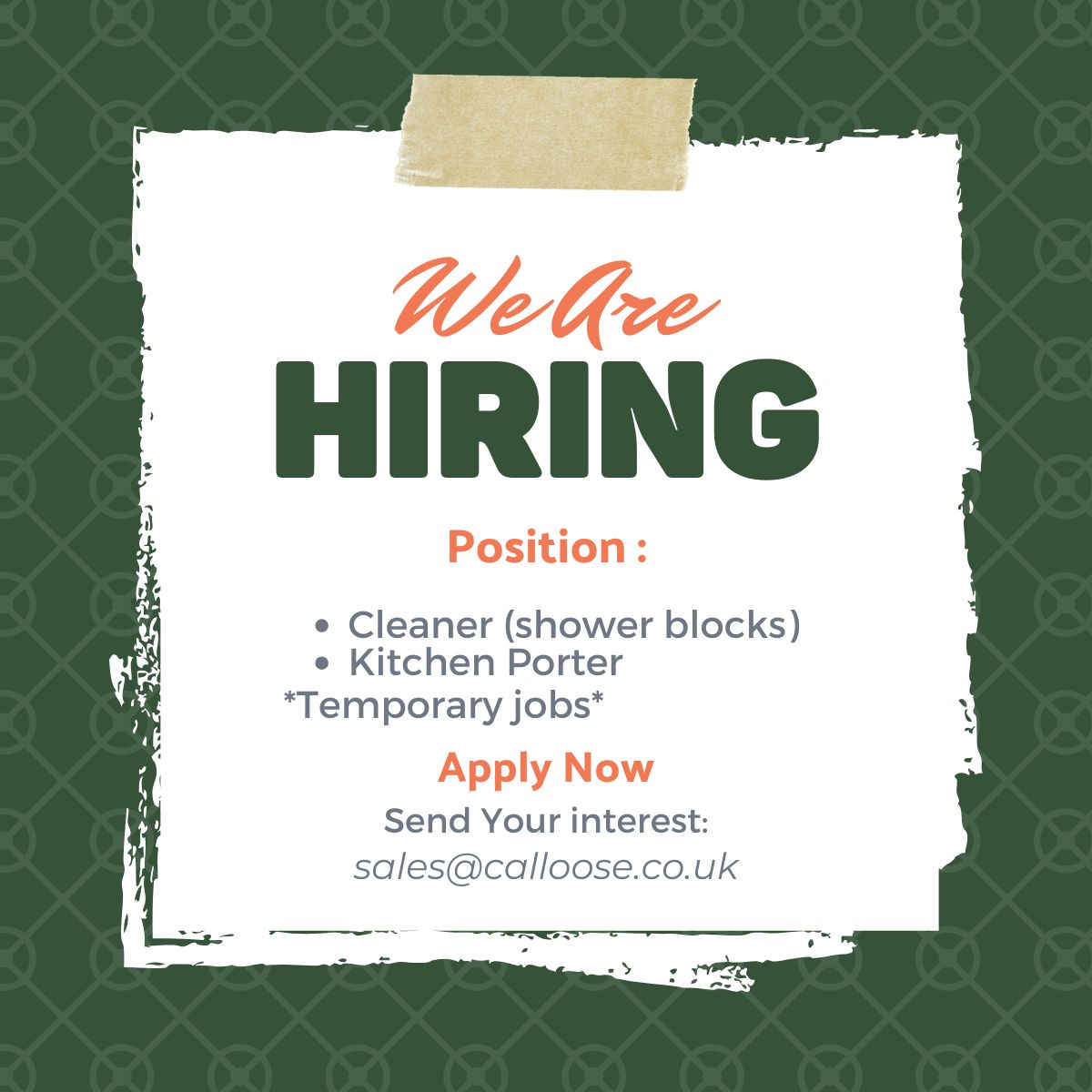🌟 WE'RE HIRING – TEMPORARY ROLES!... - Calloose Holiday Park | Facebook