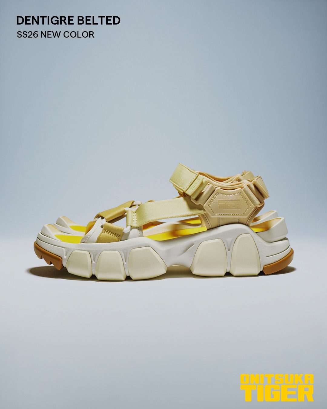 DENTIGRE BELTED & DENTIGRE CAGE' SS26 NEW COLORS 'DENTIGRE BELTED