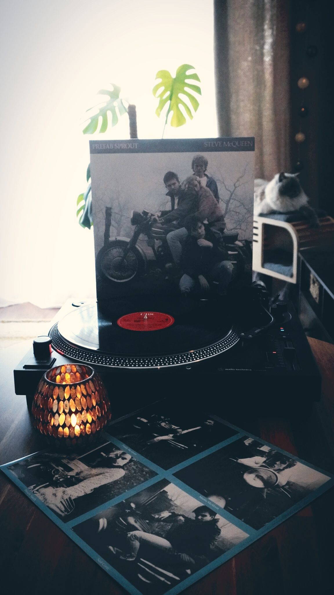 Steve McQueen - Prefab Sprout ( 1985 ) 