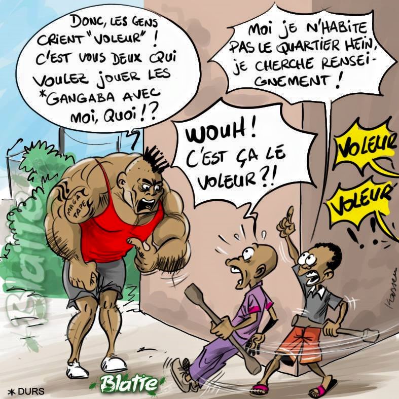 Blatte Magazine Voleur Facebook