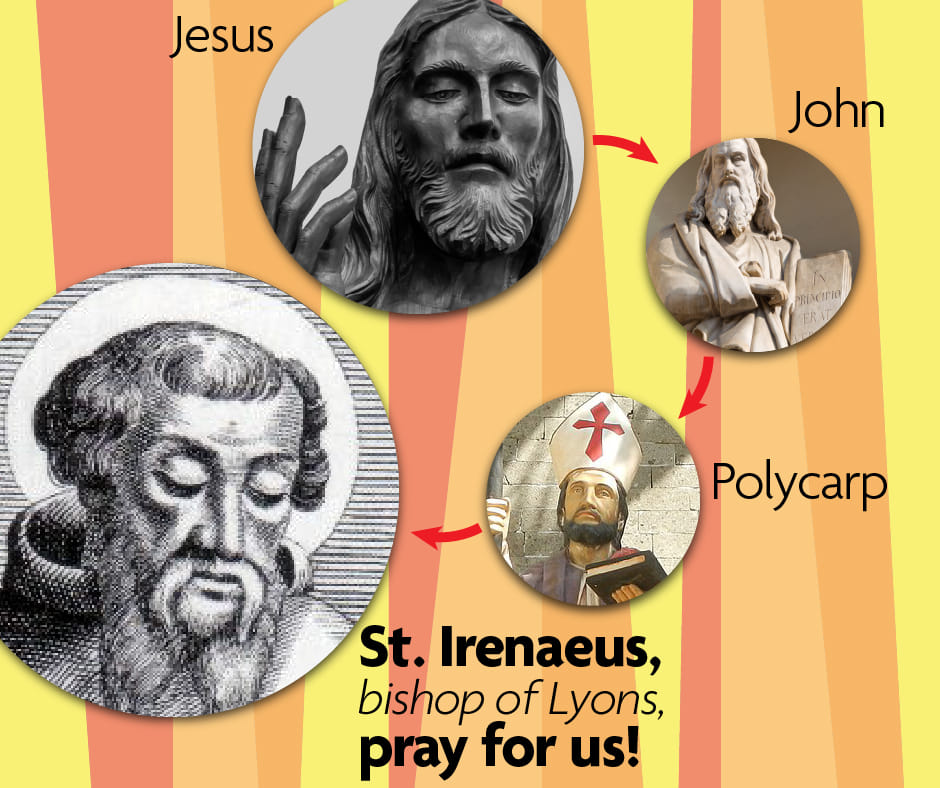St. Irenaeus is a great example... - Holy Apostles Catholic | Facebook