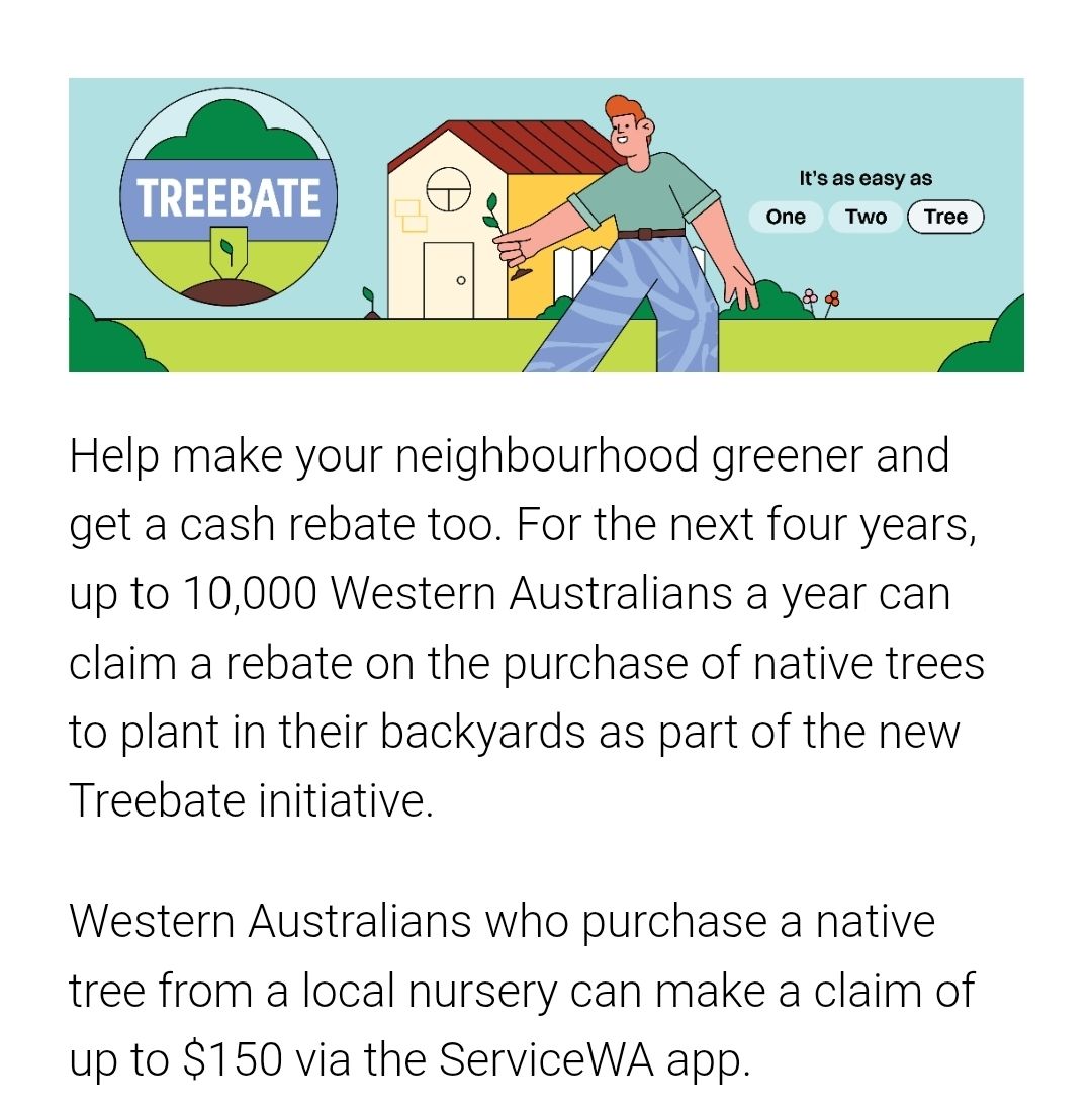 🌳The best time to plant a tree was 30... - Perth Happenings | Facebook