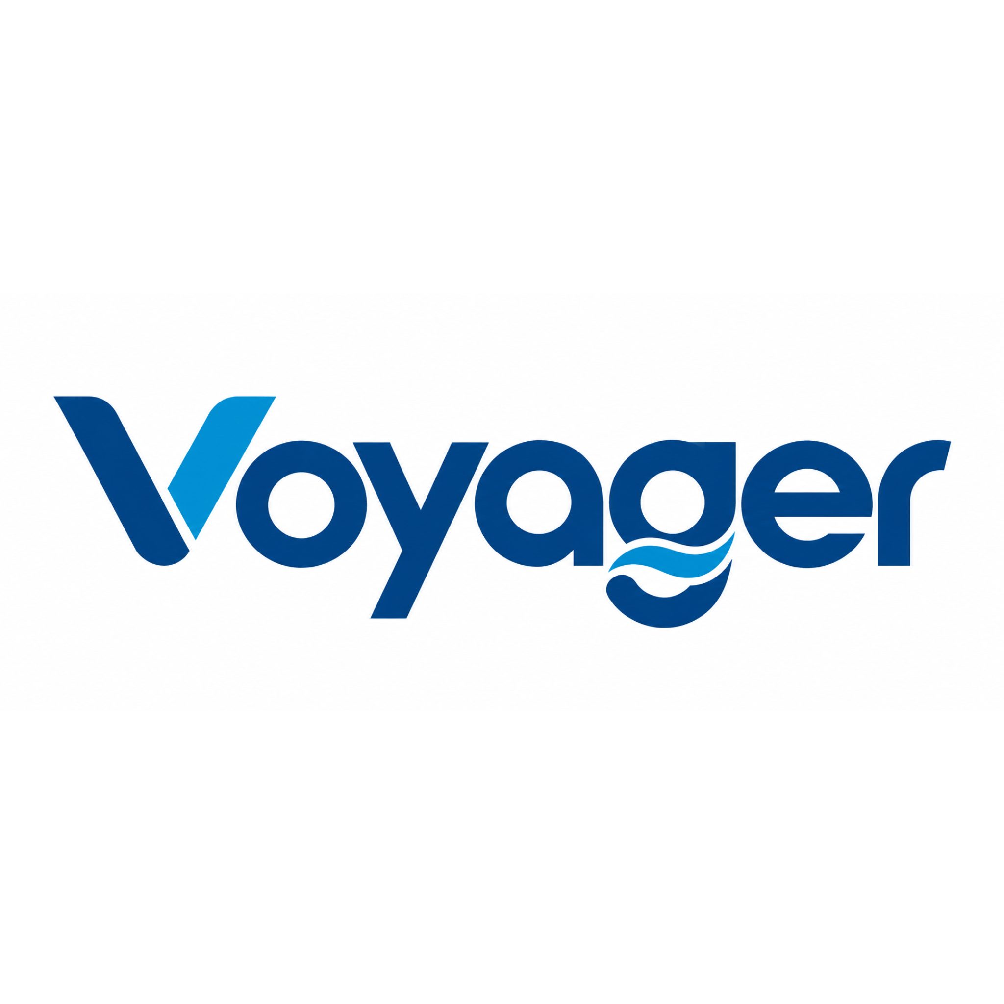 Voyager - Un groupe de députés a proposé la création d’un... | Facebook