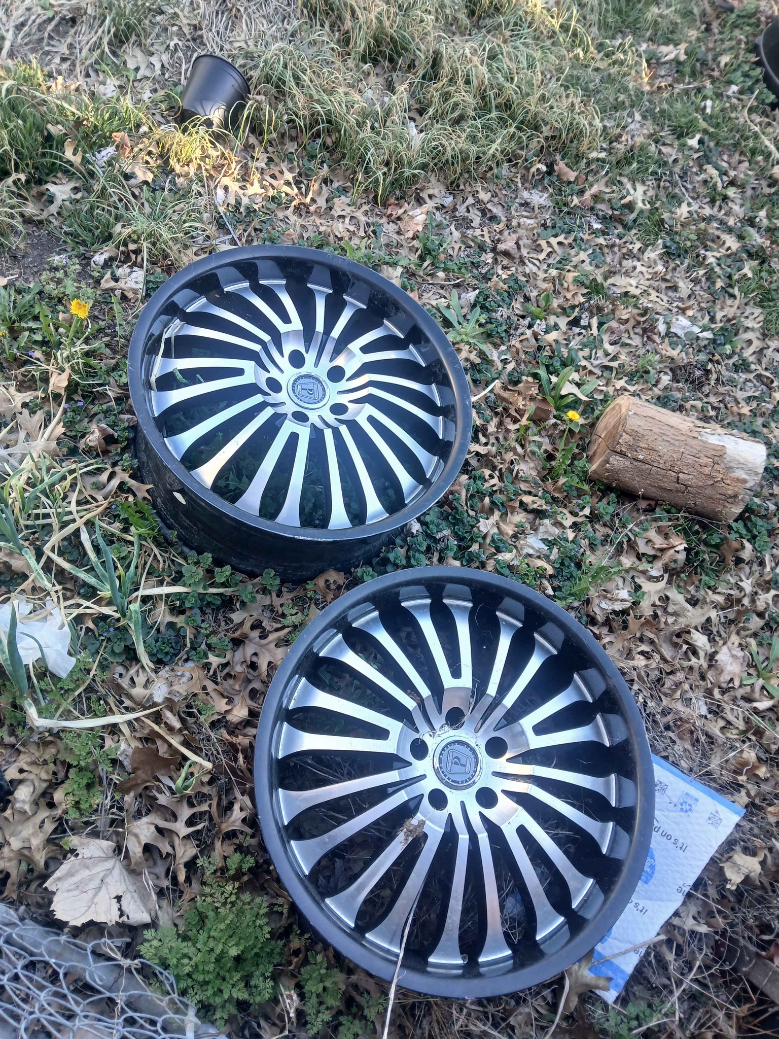 4 used phino 20