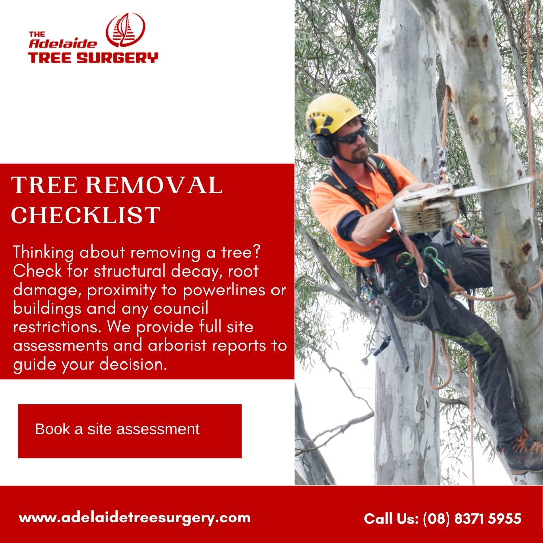 Unsure whether to remove or save a... - Adelaide Tree Surgery | Facebook