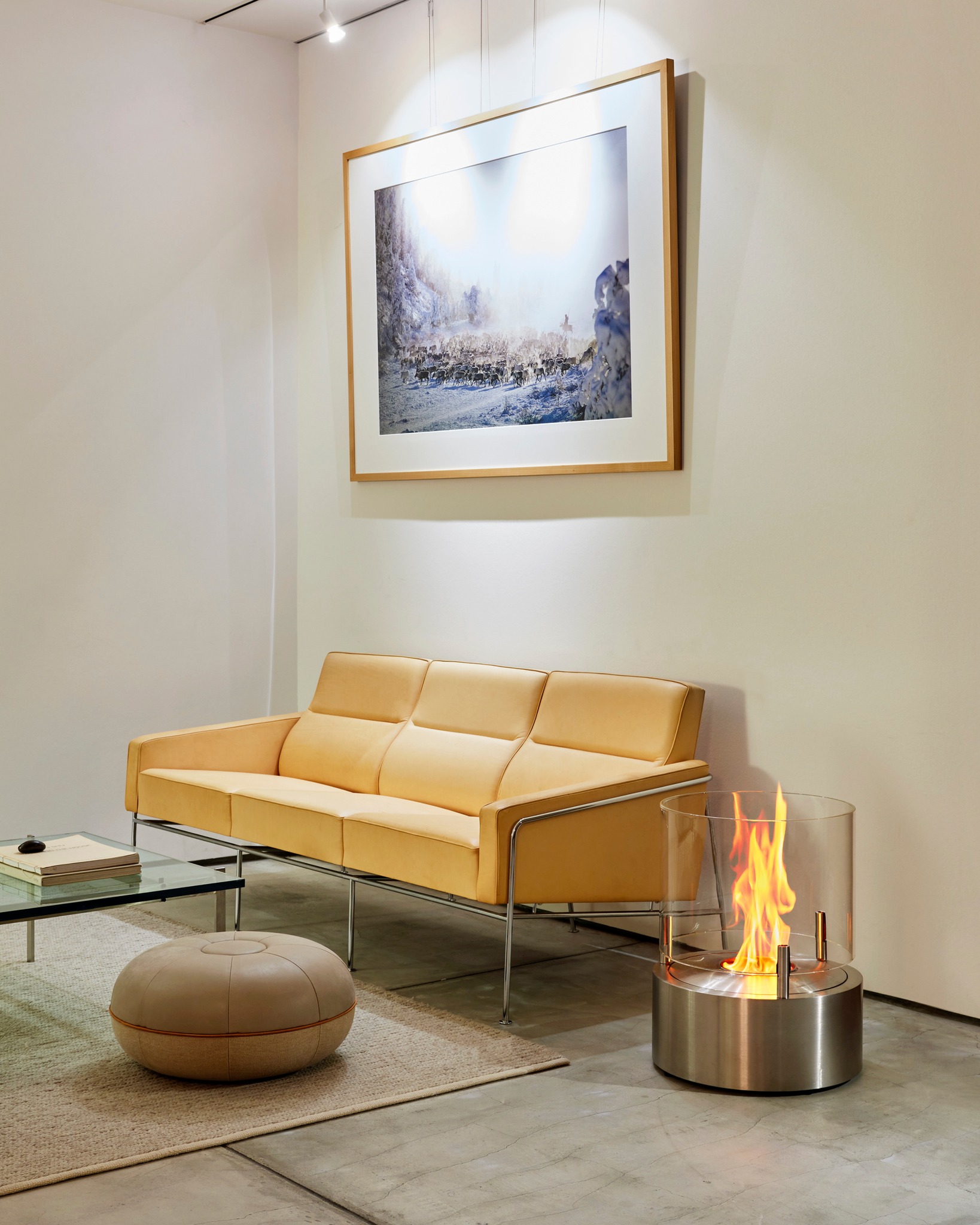 EcoSmart Fire Japan | Minato-ku Tokyo