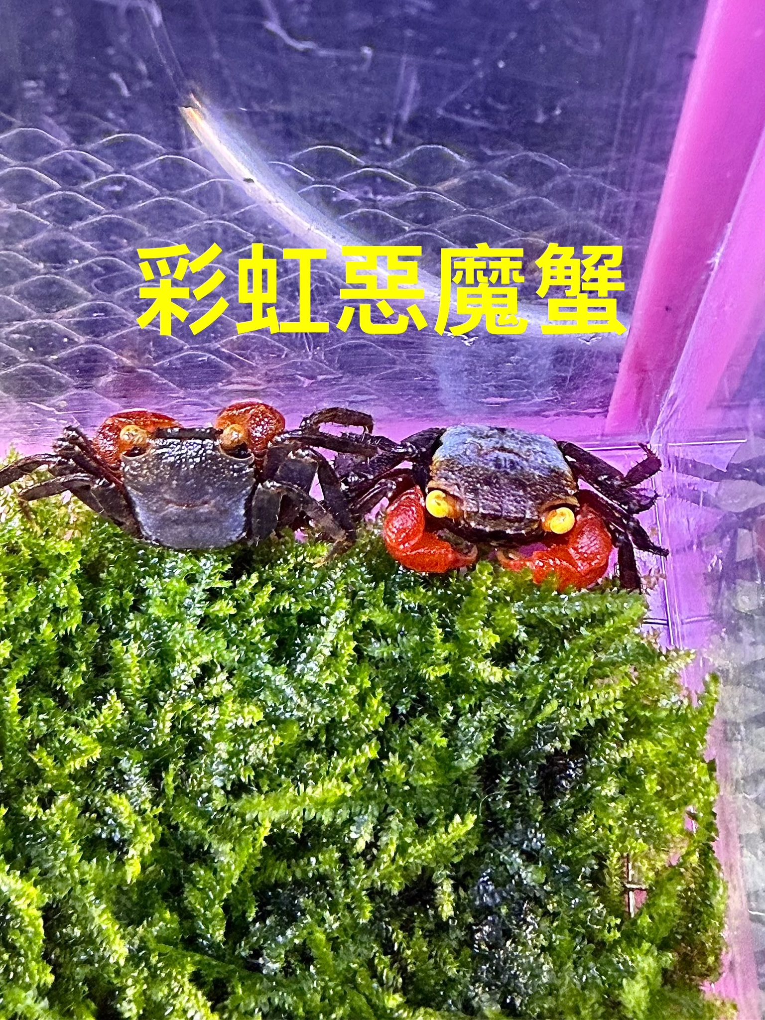 陽光空氣水族 - 陽光空氣水族 added a new photo.