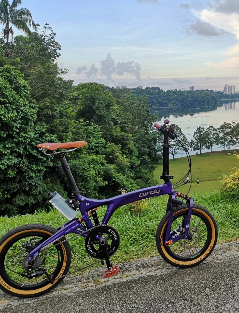 Monocoque mafia 🦅🇵🇭 #birdy #birdybd1 #birdybike #birdybicycle