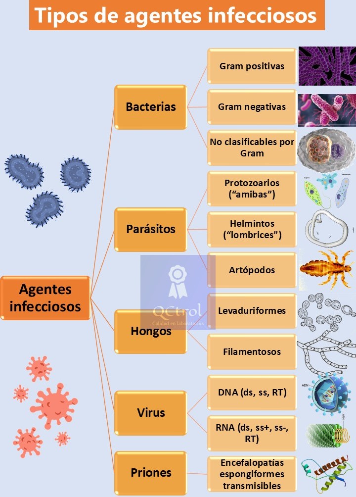 Los virus son los agentes... - Calidad en Laboratorios | Facebook