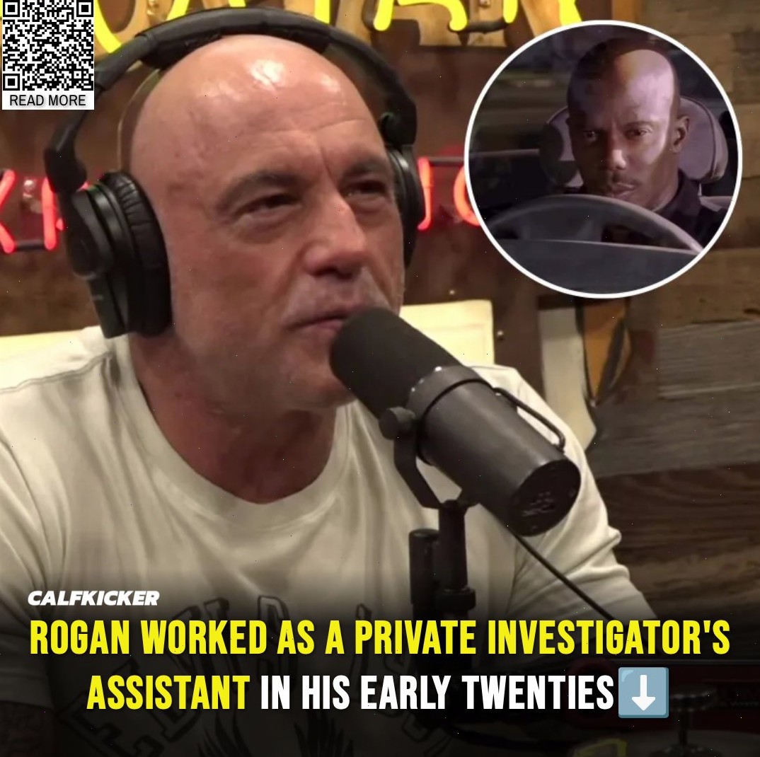 The Last - Before becoming a famous comedian, Joe Rogan worked as a ...