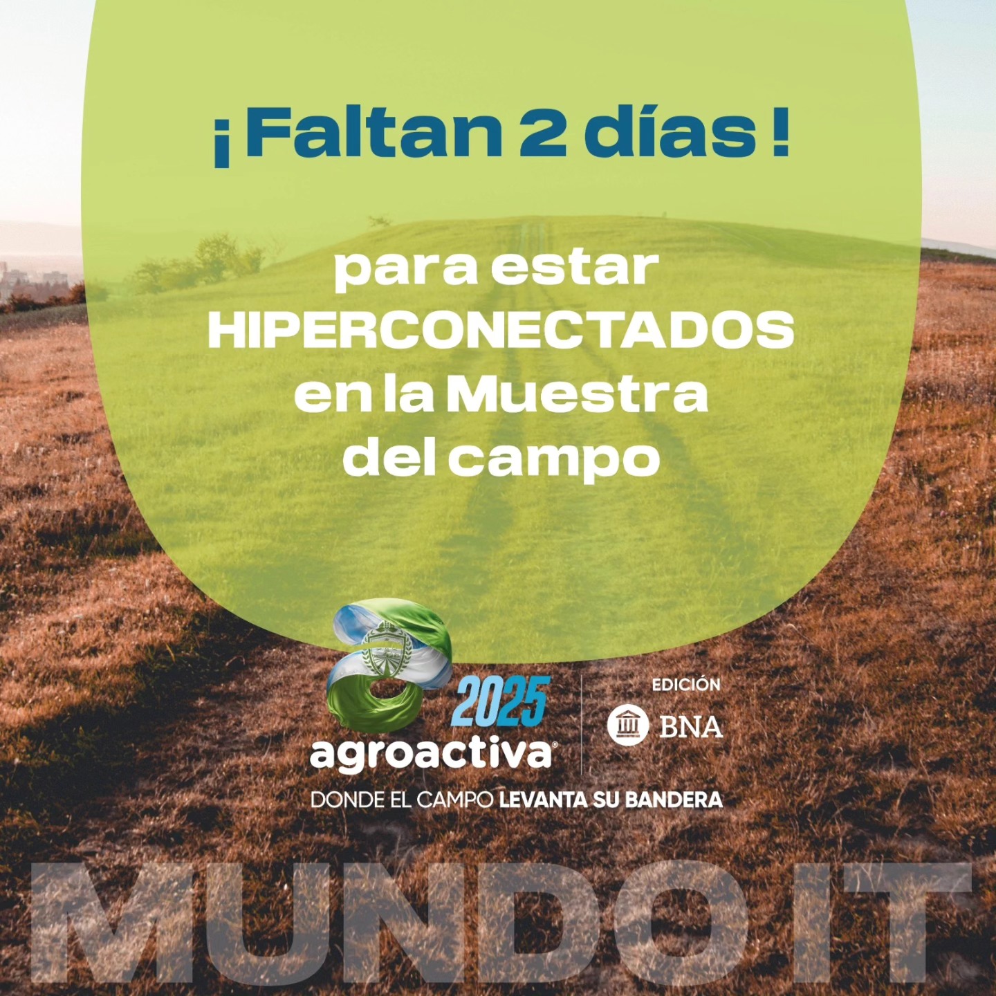 Mundo IT | Rosario