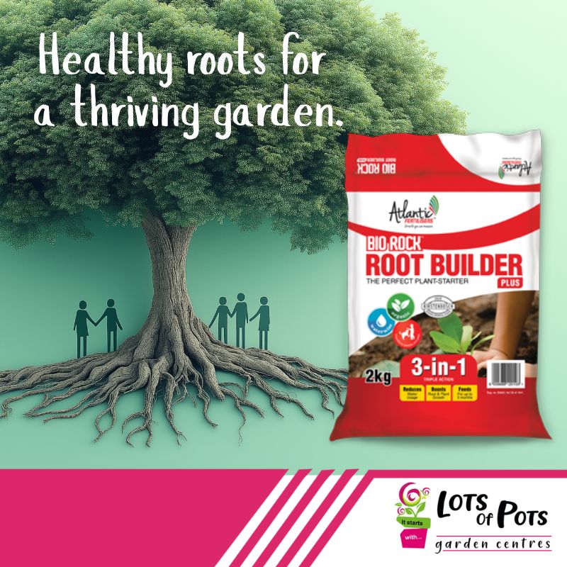 Lots of Pots - 🌱 Atlantic Bio Rock Root Builder – Boost... | Facebook