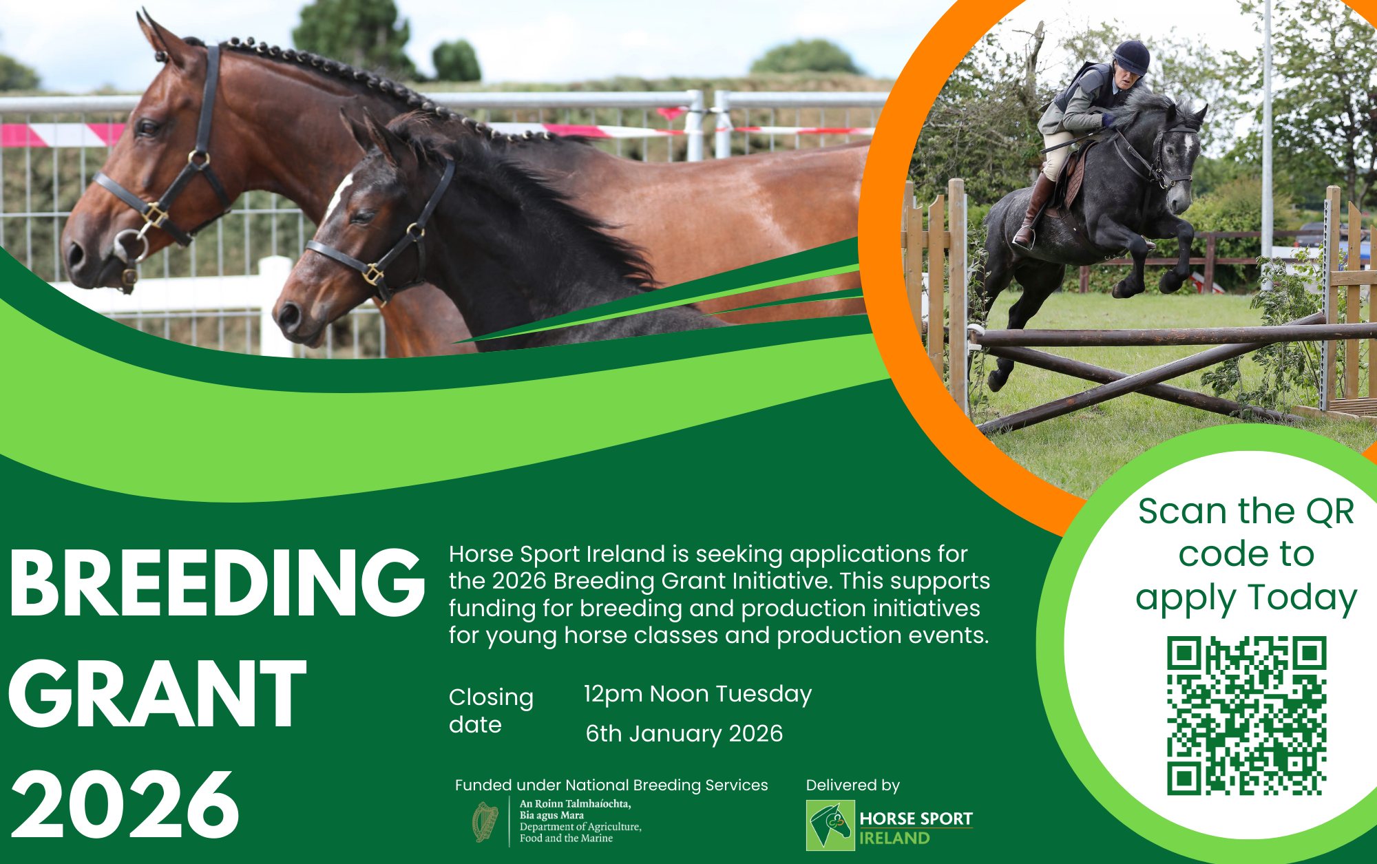 Horse - 📣 Applications Now Open: 2026 Breeding Grant Initiative Horse ...