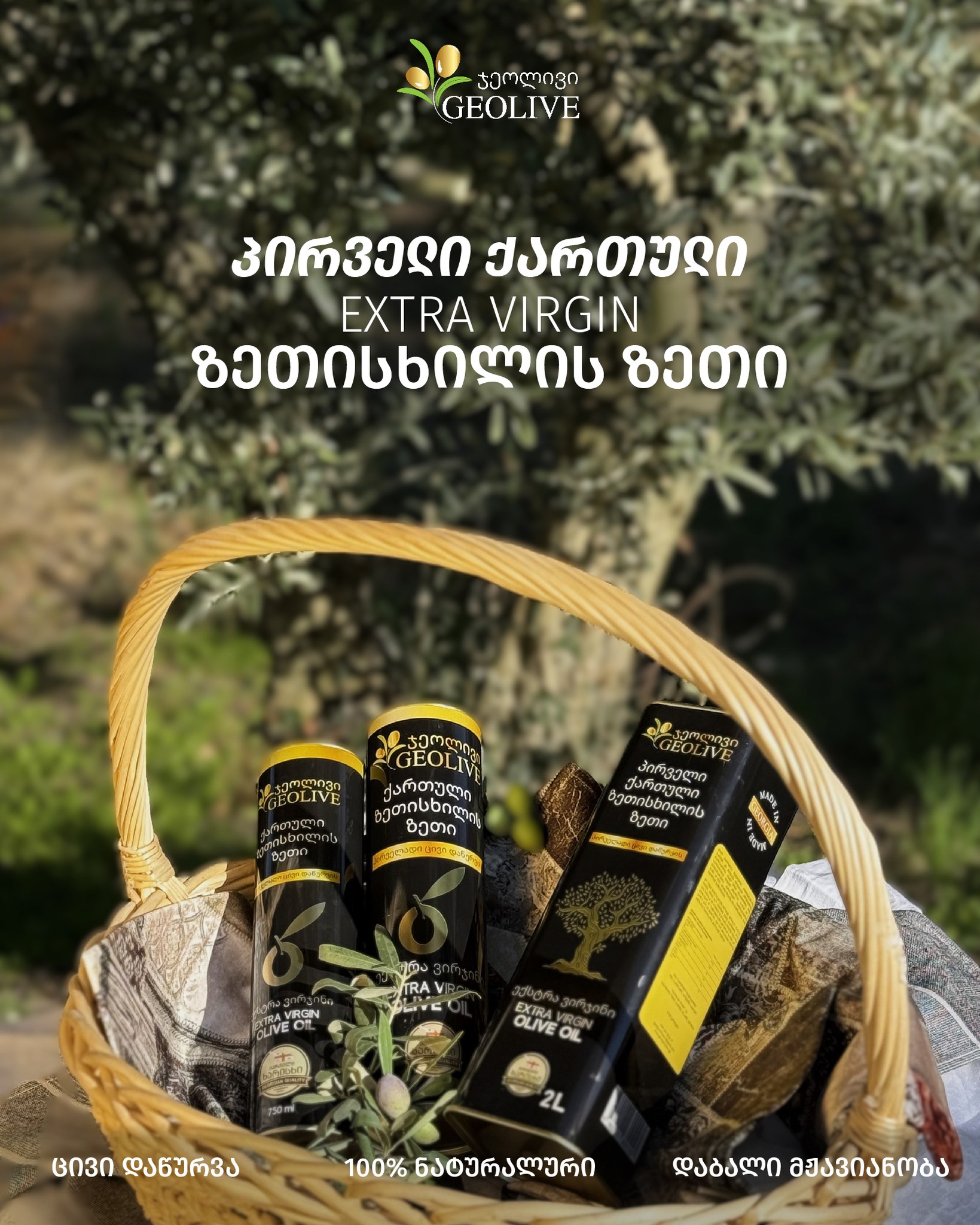 Geolive Olive Oil / ჯეოლივის ზეთისხილის ზეთი / ქართული ზეთისხილი | Tbilisi
