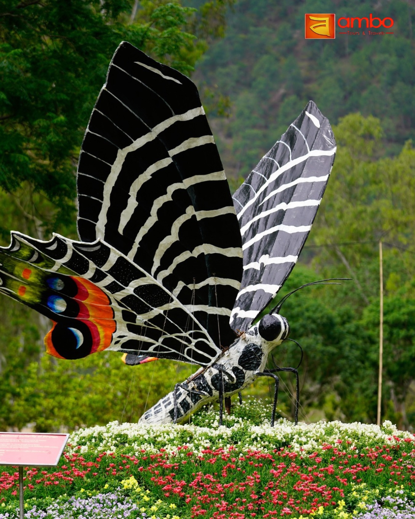 The Ludlow's Bhutan Glory (Bhutanitis ludlowi) is an endangered