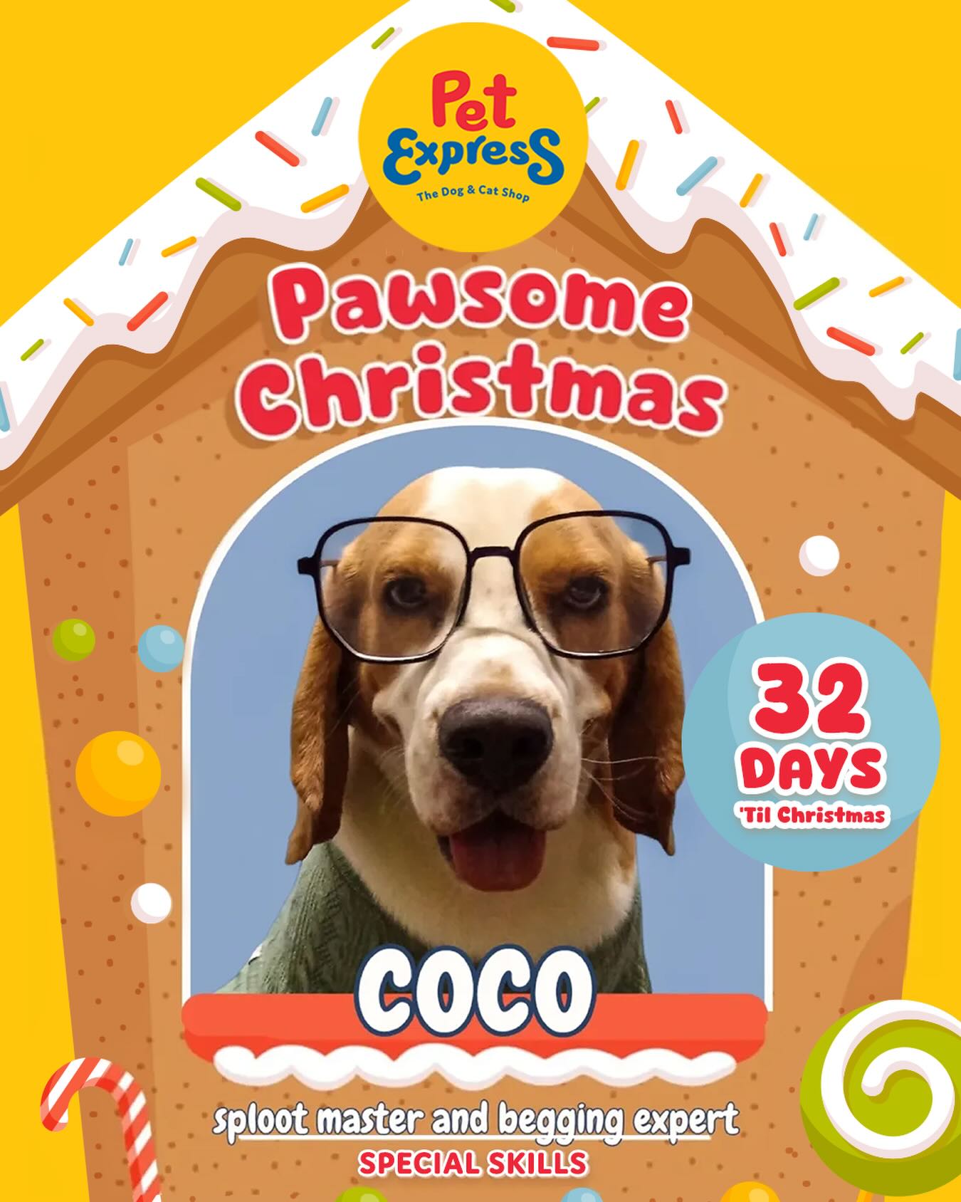 PetExpress - At the Gingerbread House, Furbaby Coco reigns supreme as ...