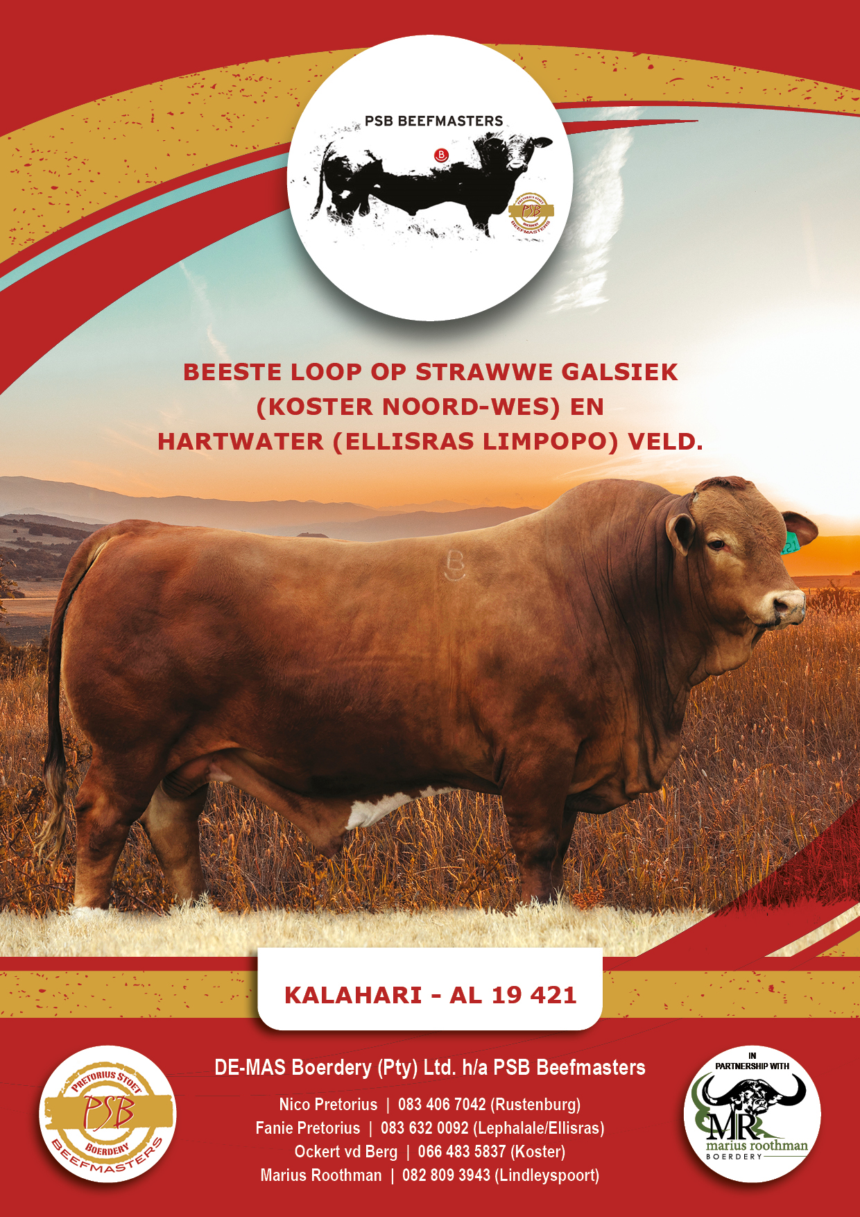 PSB Beefmasters | Rustenburg