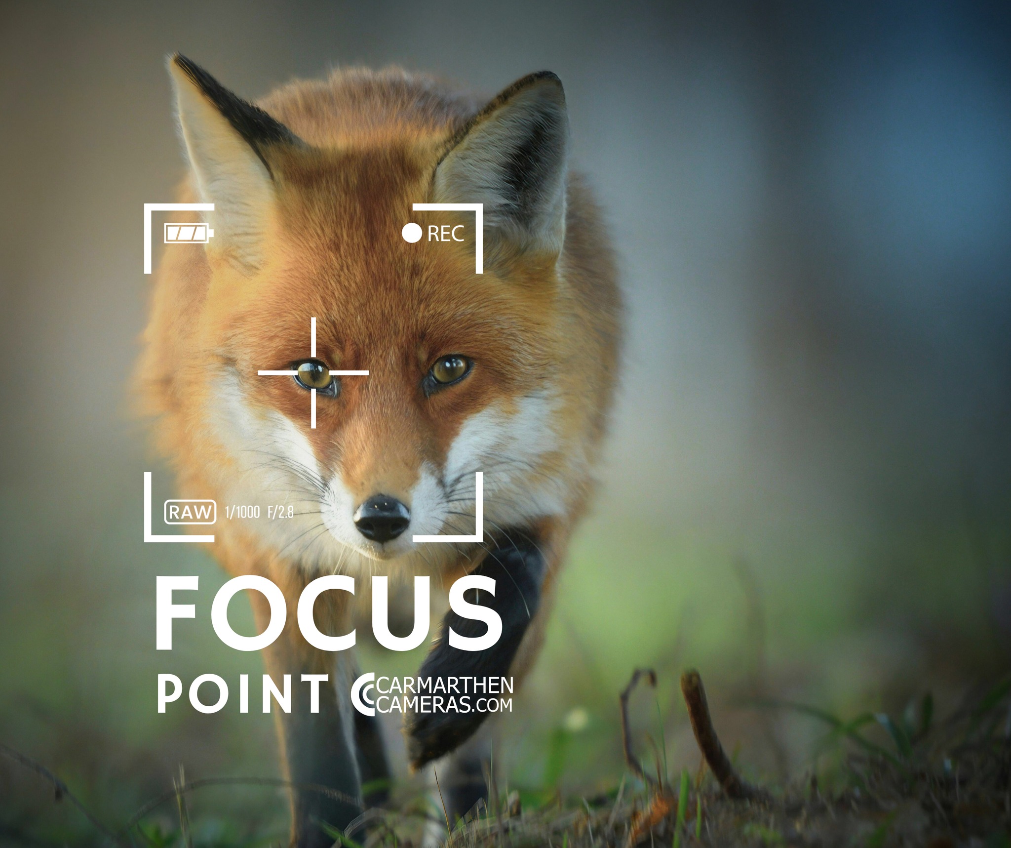 🎯 Introducing Focus Point — our new... - Carmarthen Cameras | Facebook