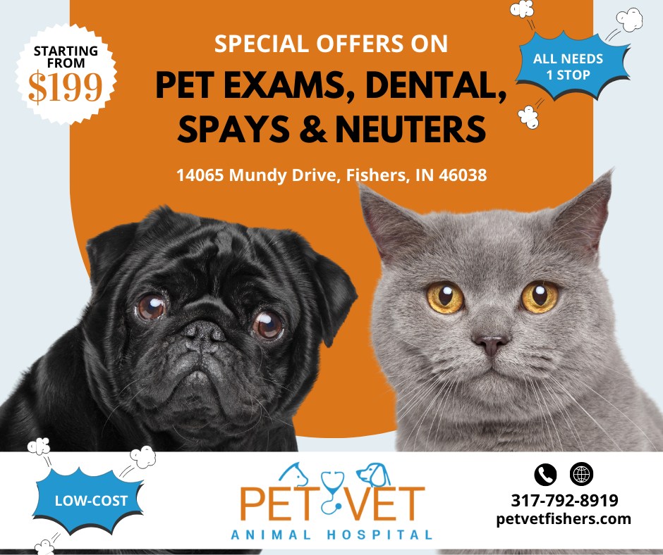 VetCheck Pet Urgent Care Center - Fishers | Fishers IN