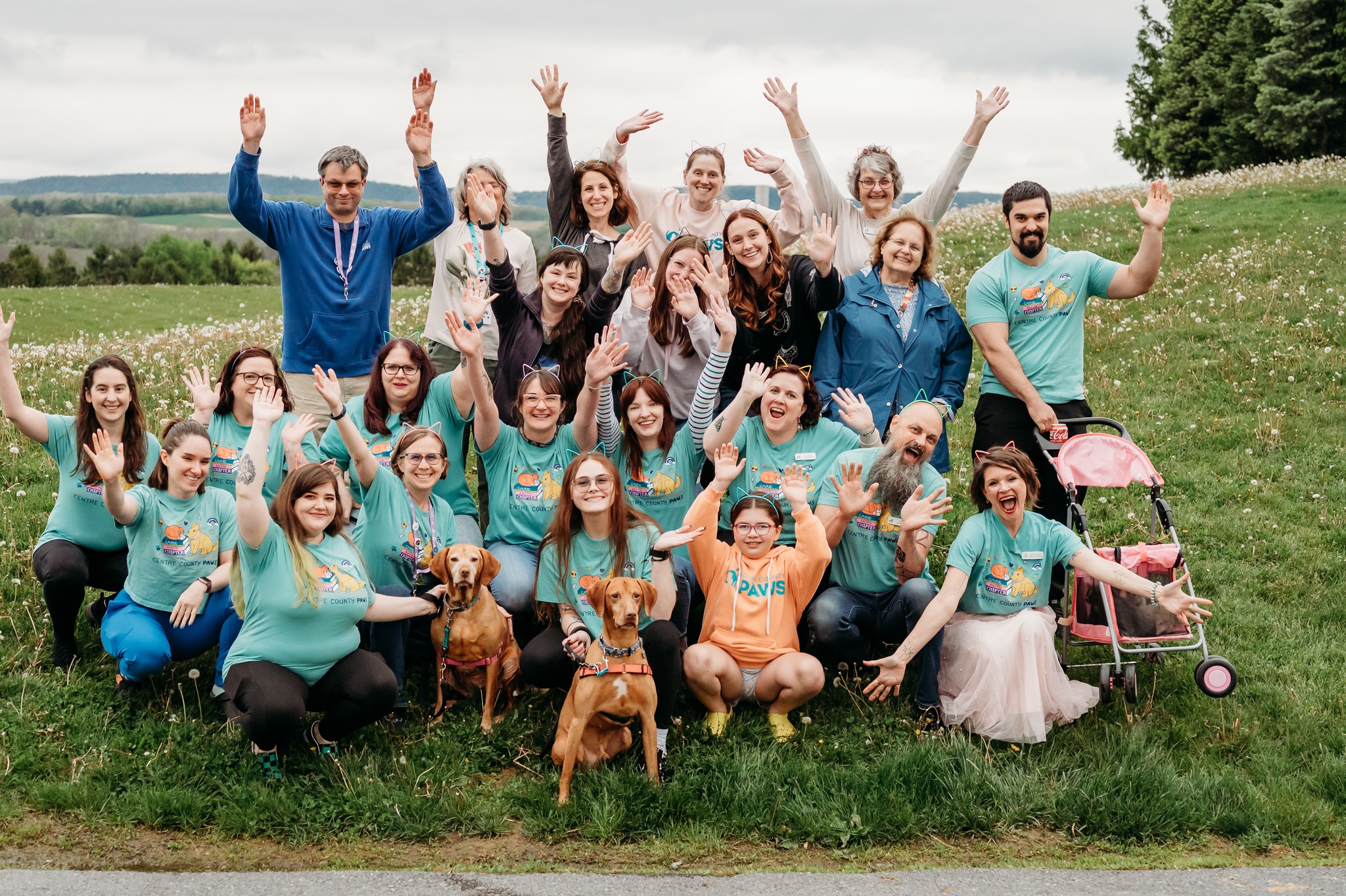 Centre County PAWS | State College PA