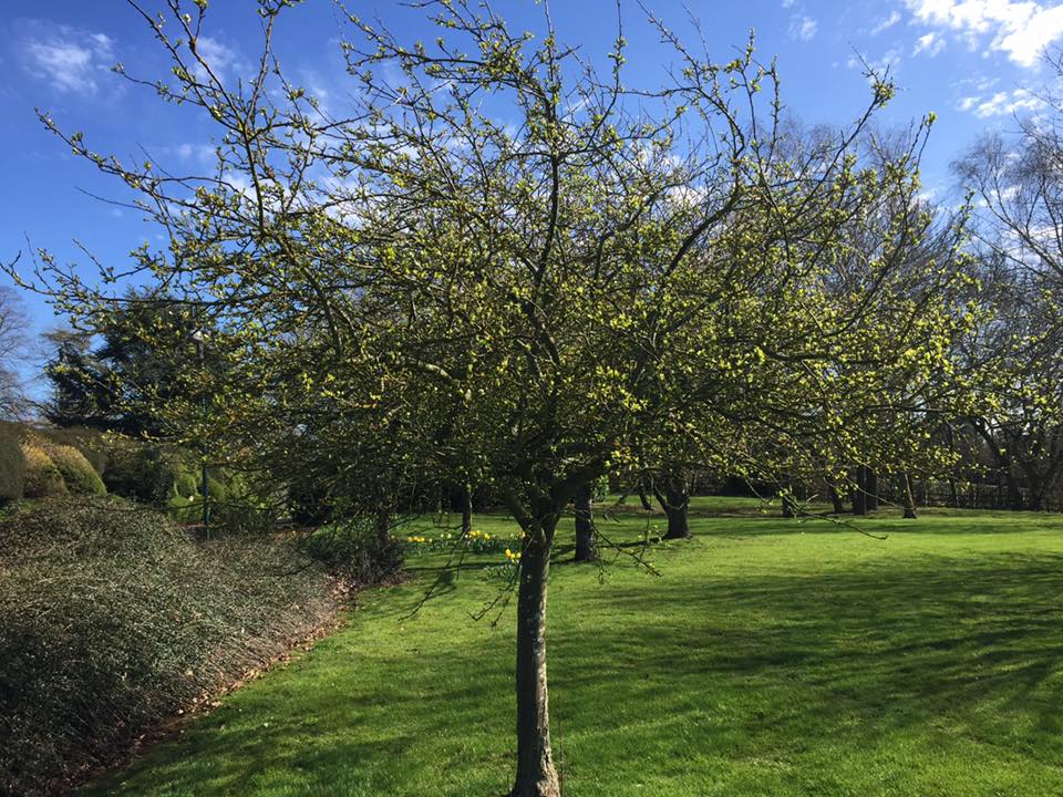 Spring has definitely arrived at... - Rutland Hall Hotel