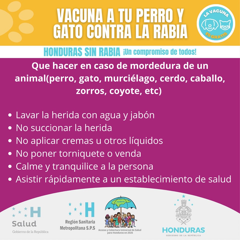 Región - #VacunaAntirrábica. Conoce que hacer si te muerde un animal ...