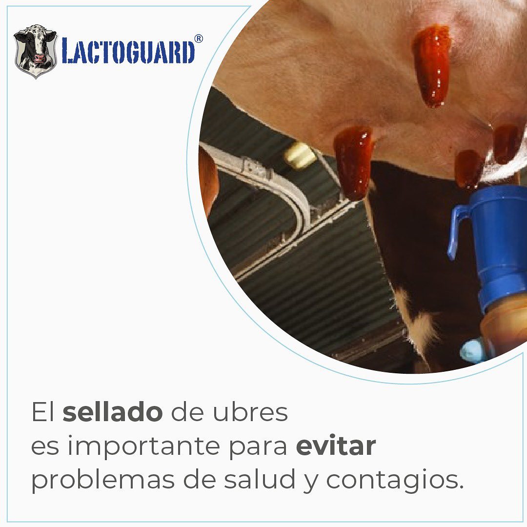 Lactoguard - 👀 No olvides sellar las ubres de tus vacas! 🐄 Con esto ...