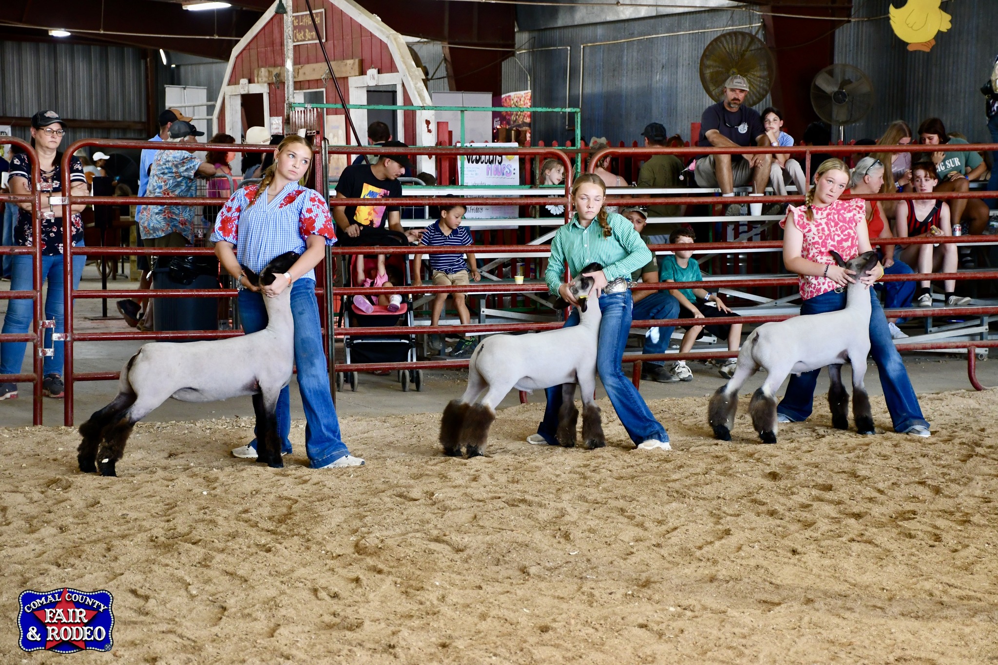 Comal County Fair | New Braunfels TX