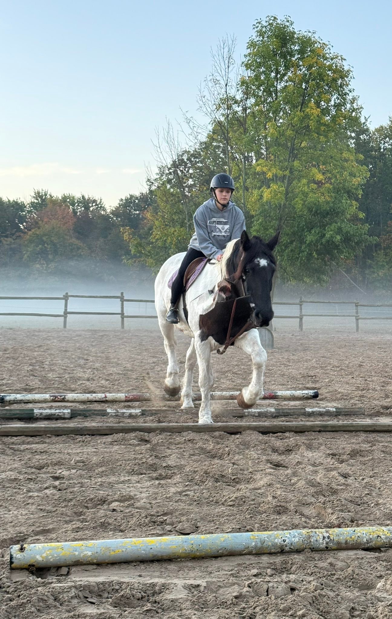 Carousel Stables added a new photo — at... - Carousel Stables