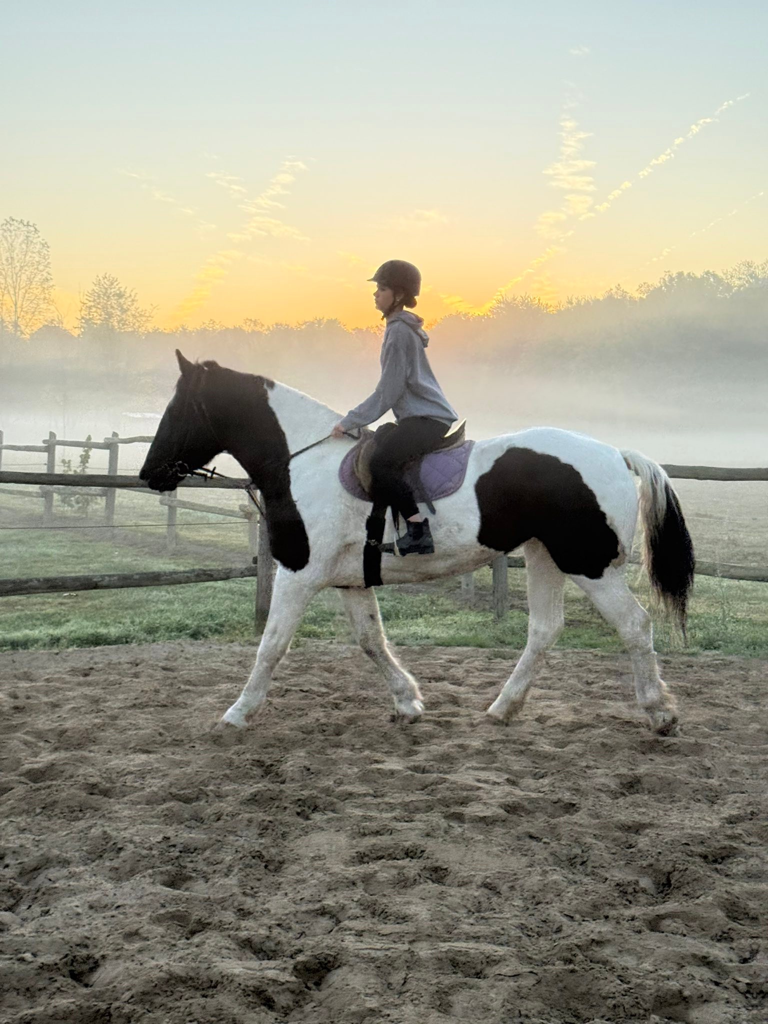 Carousel Stables added a new photo — at... - Carousel Stables