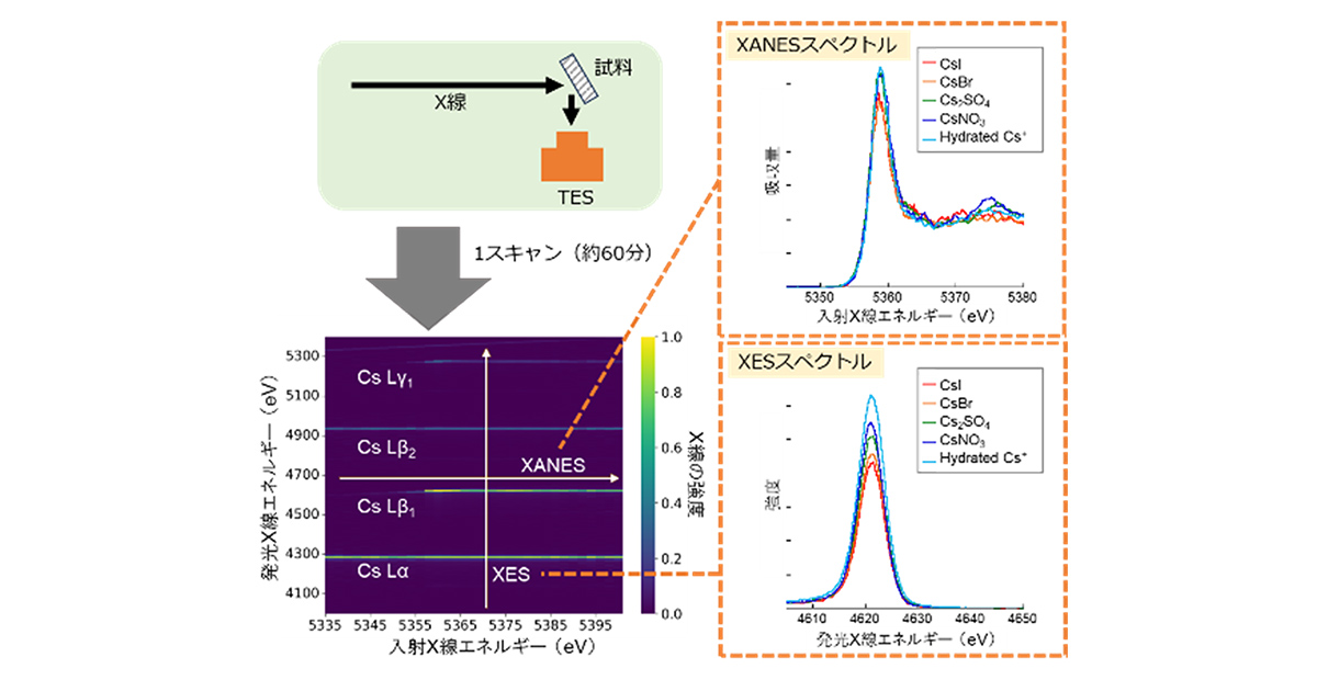立教ニュース 理学研究科の山田真也准教授らによる研究グループは、超