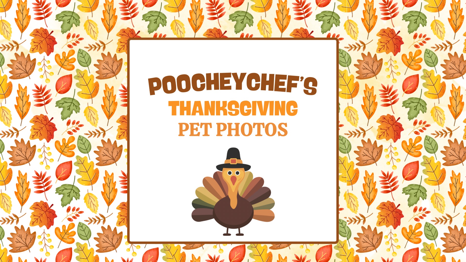 Poochey Chef | Duncansville PA