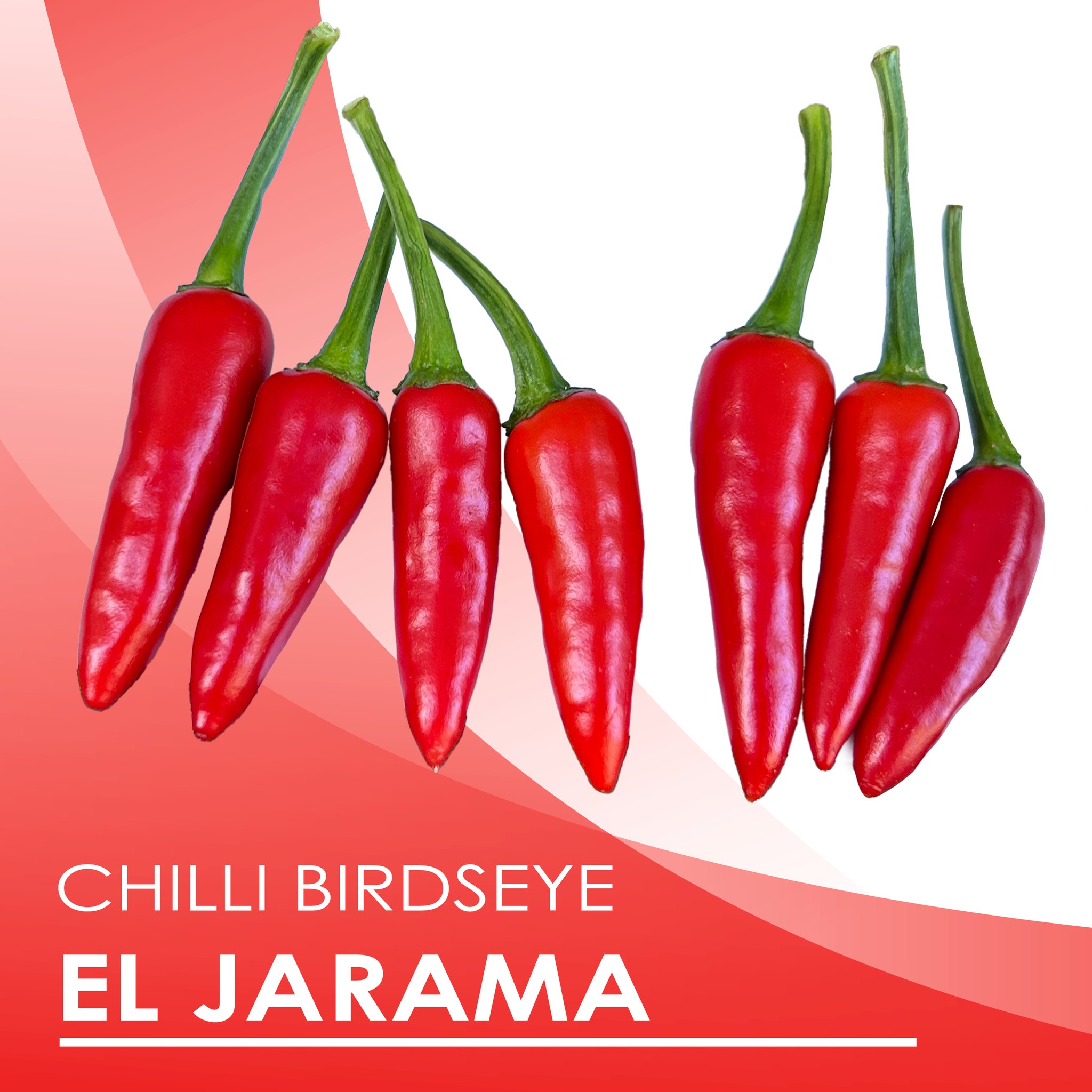 Birds Eye Chilli - EL... - South Pacific Seed Sales NZ Ltd | Facebook