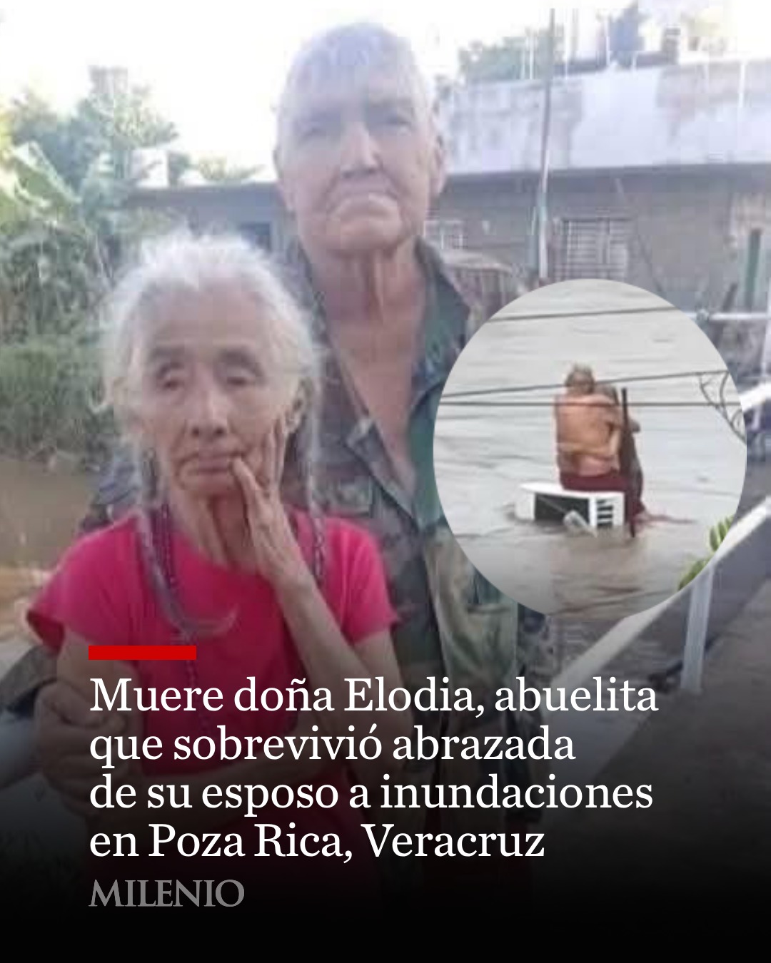 Milenio - 🕊️⚫ Descanse en paz: muere doña Elodia, abuelita que se hizo ...