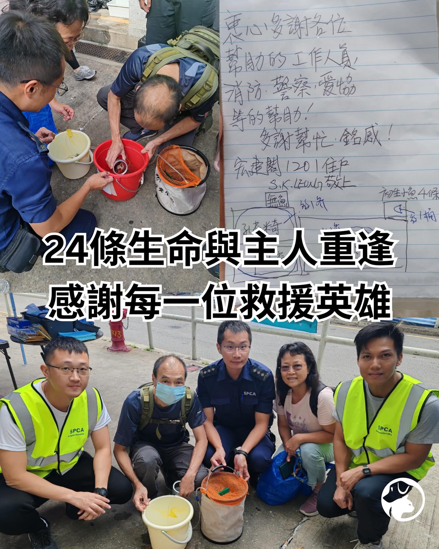 SPCA - 許多主人主動提供寵物的資料與照片，我們亦會盡力讓救援人員能更有方向地尋找這些珍貴的生命。 今天又有24條倖存的魚靠主人提供的資訊 ...