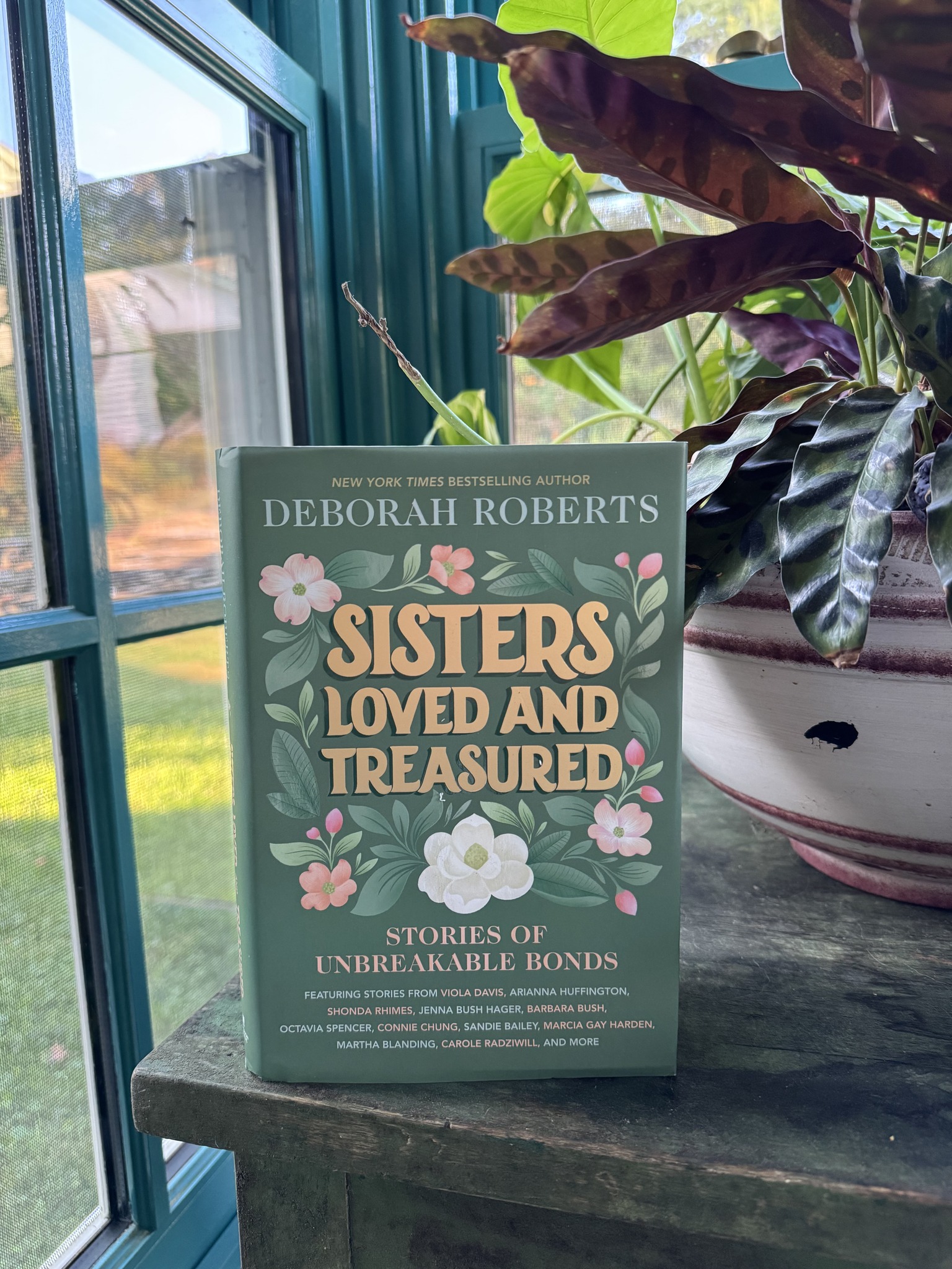 lisa-scottoline-i-m-absolutely-loving-sisters-loved-and-facebook