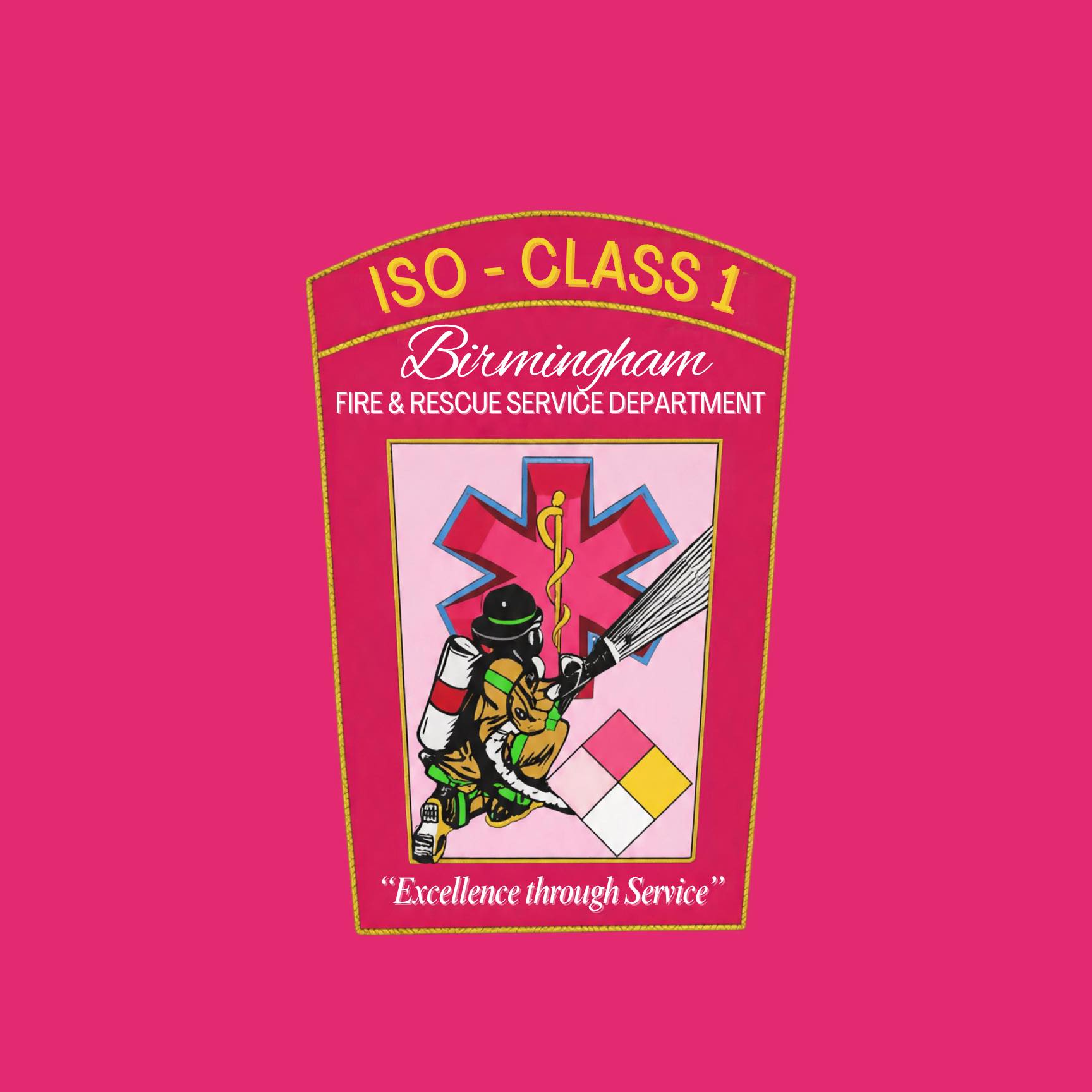 Meet this... - Birmingham Fire and Rescue Service Department | Facebook