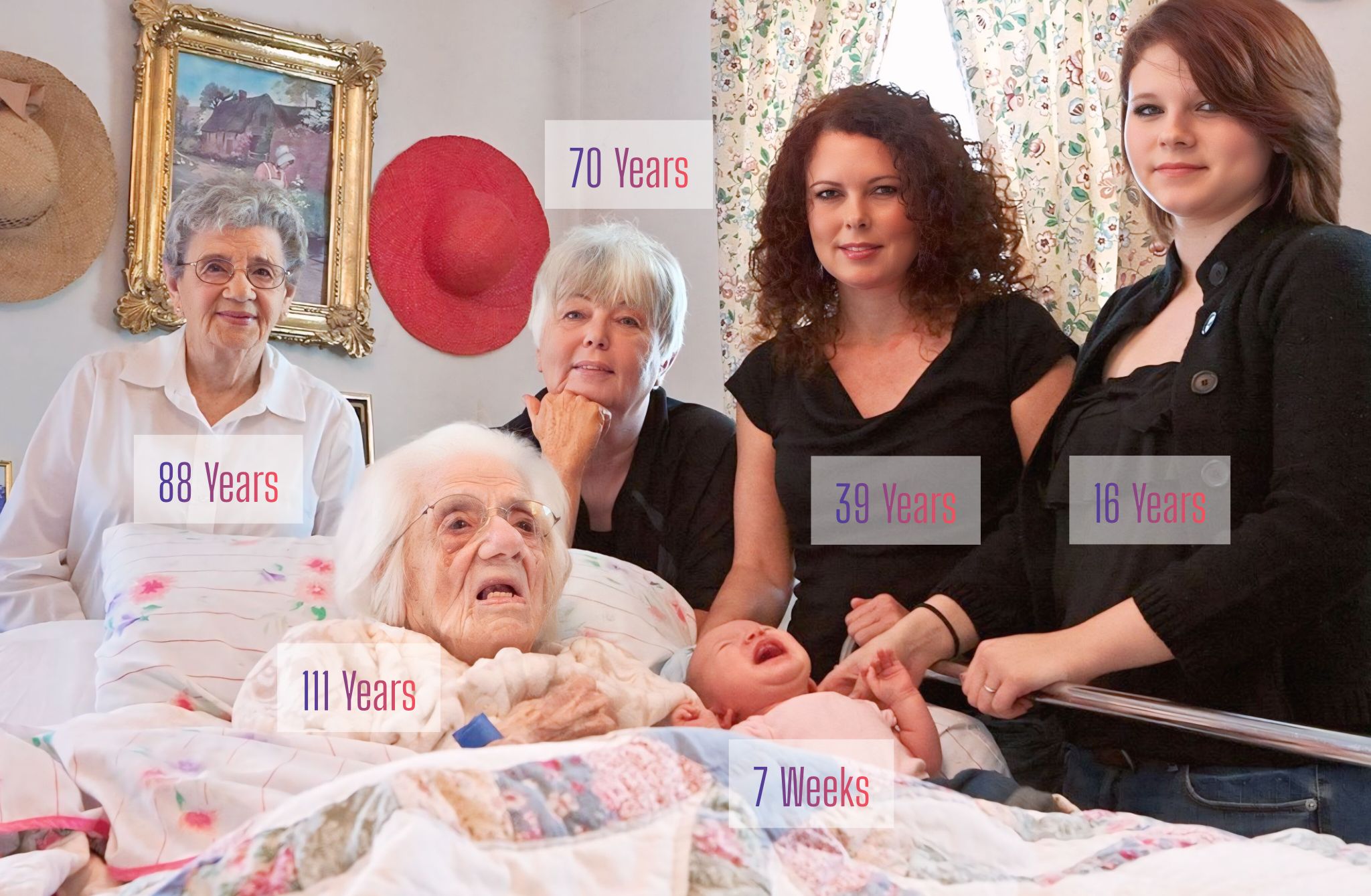 Pregnancy - 🌸 Six Generations, One Remarkable Moment 🌸 Six generations ...