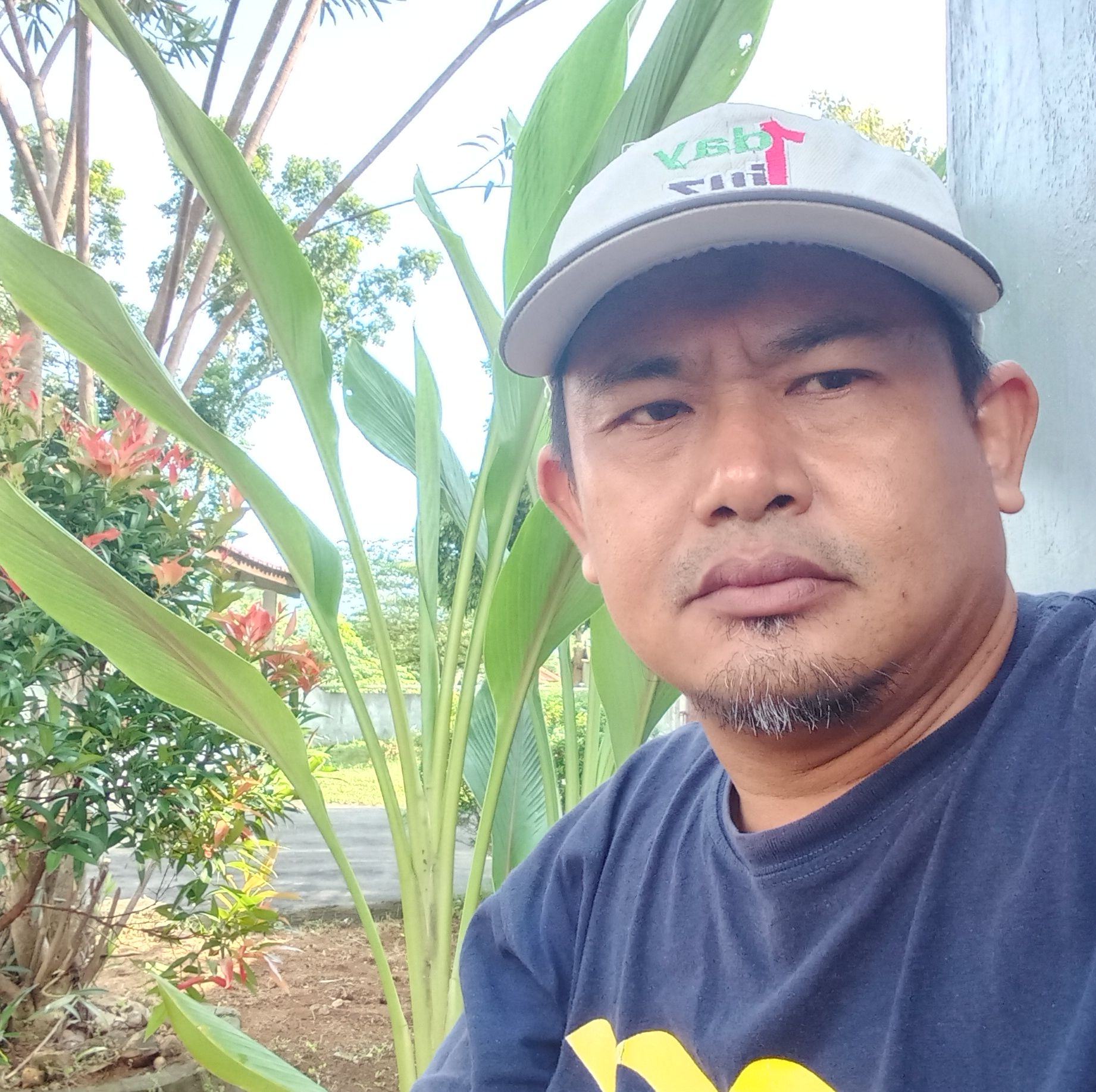 Samsir