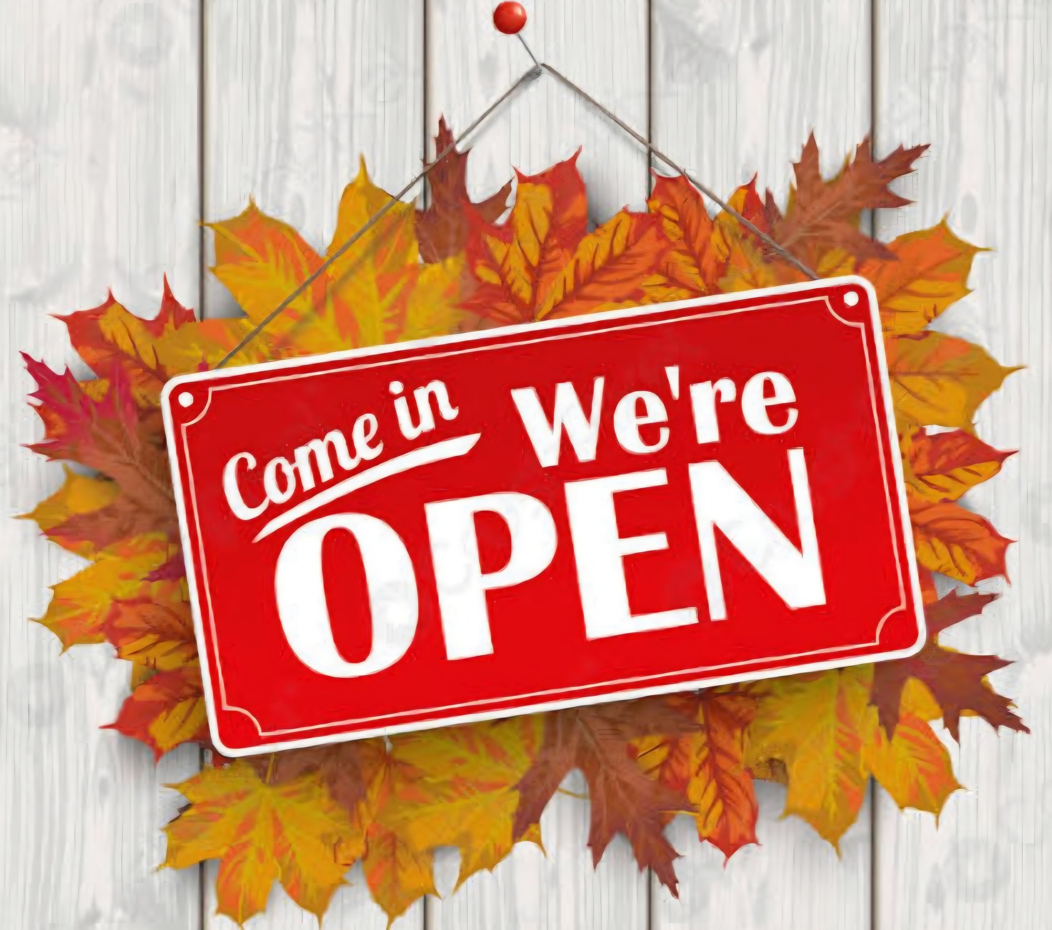 Meade - 11/05 Update ️Open Today, 5 November 1230-1530 ️ ️Please ...