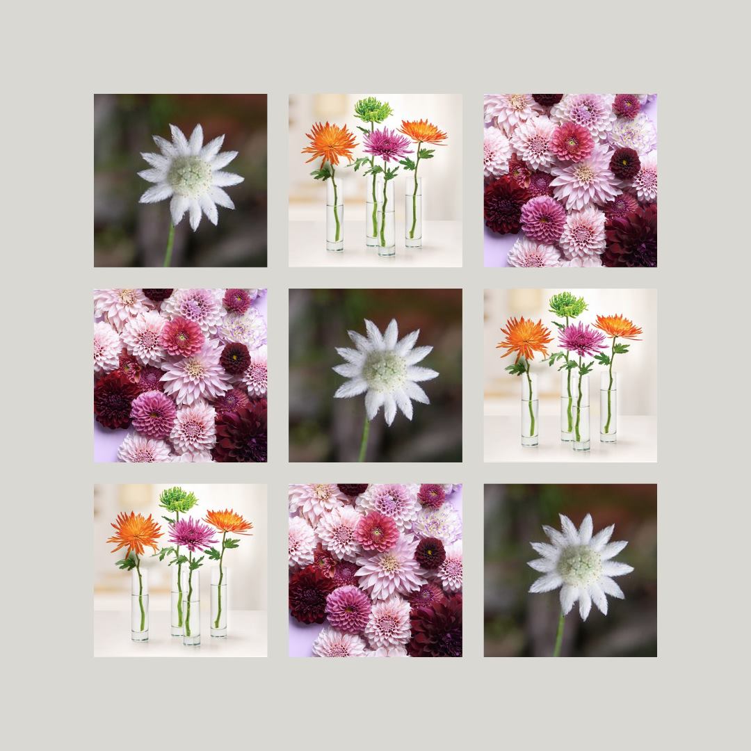 Bloom by Robin