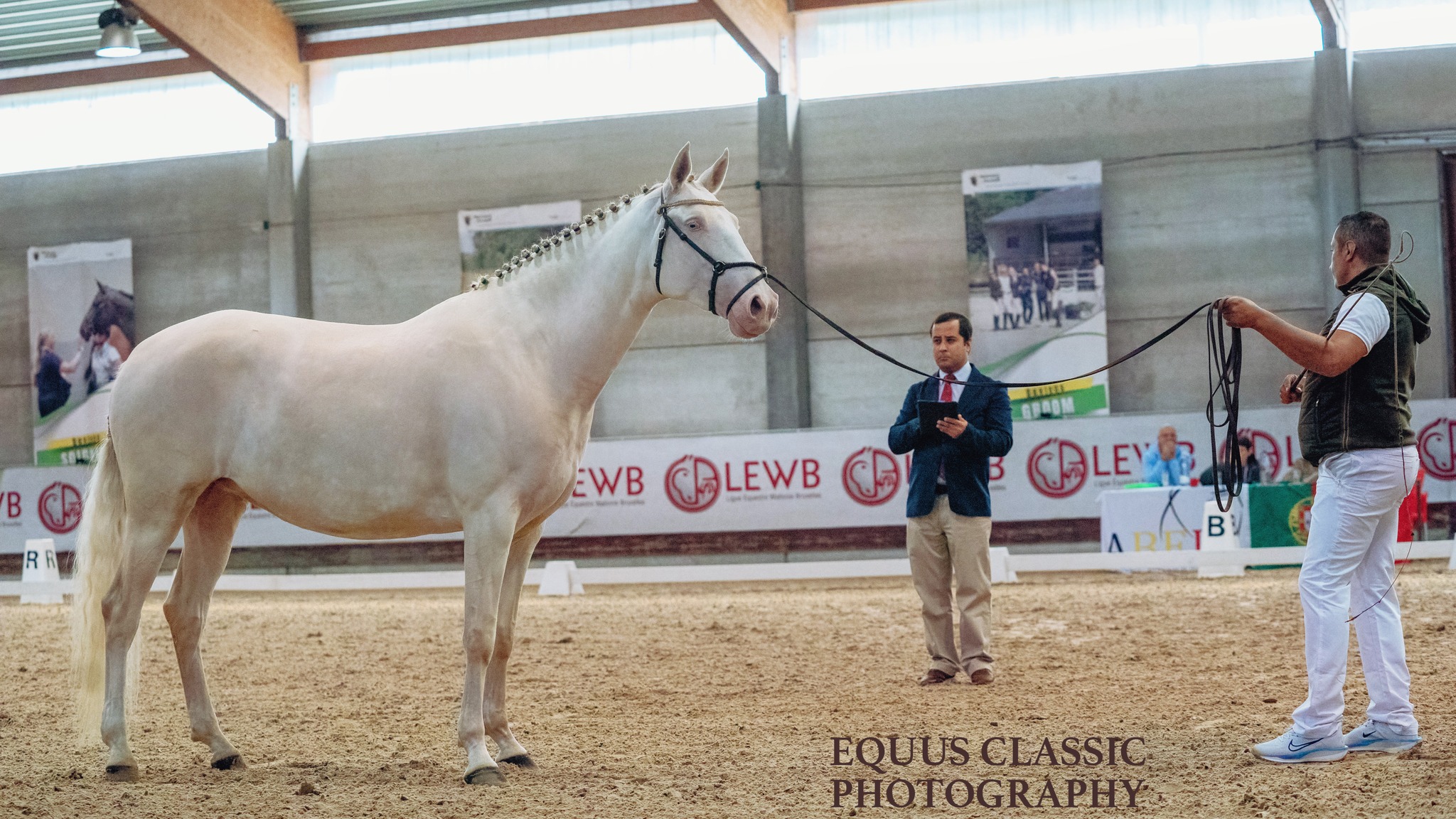 Equus - Ein lehrreicher Samstag erwartete die Züchter und Besitzer und ...
