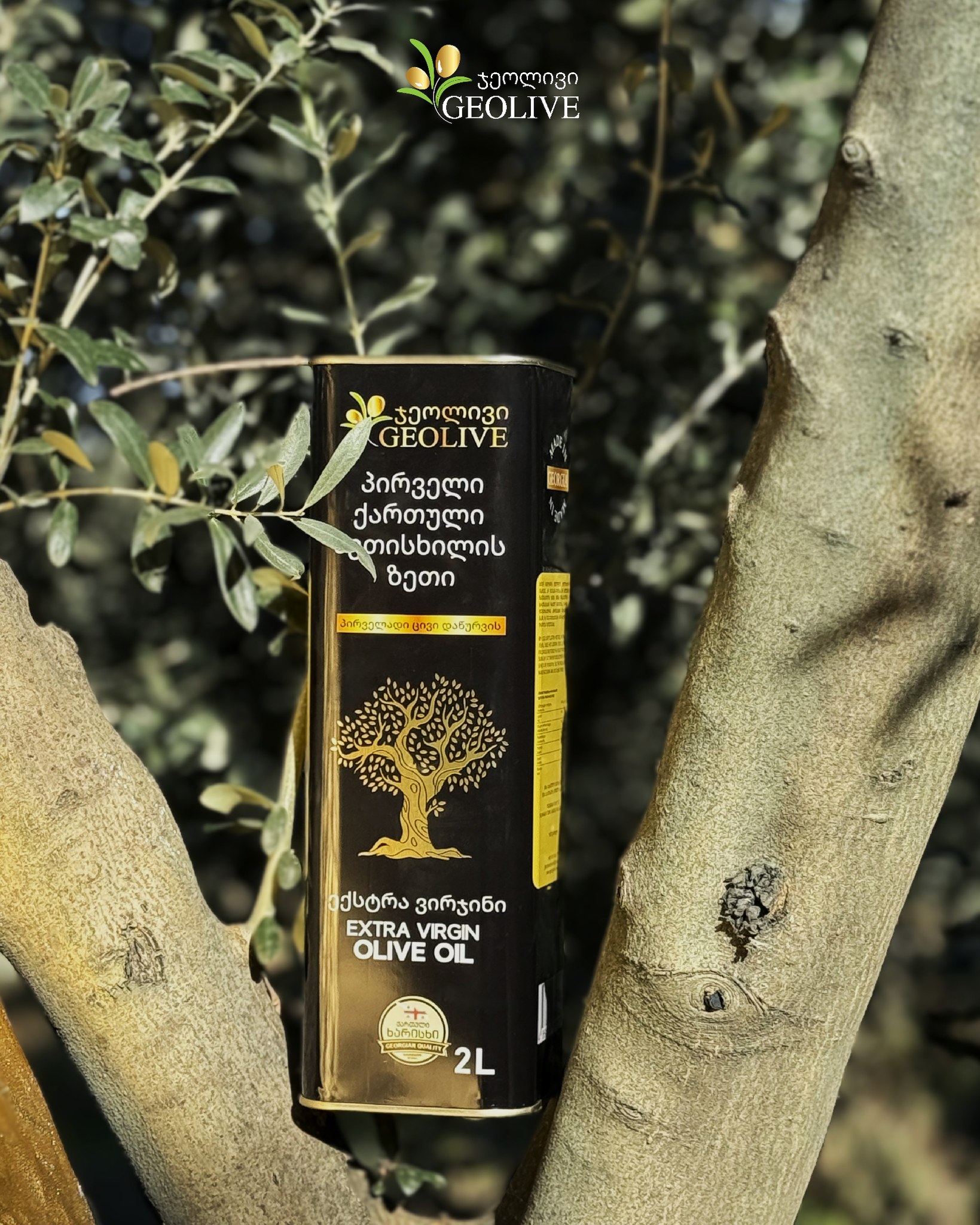 Geolive Olive Oil / ჯეოლივის ზეთისხილის ზეთი / ქართული ზეთისხილი | Tbilisi