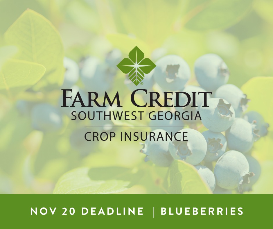Southwest Georgia Farm Credit | Bainbridge GA