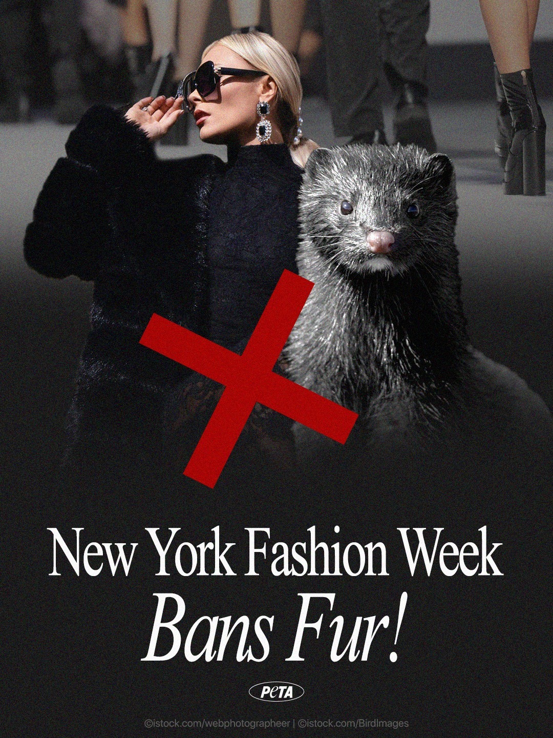 PETA (People for the Ethical Treatment of Animals) - Joanna Krupa: http ...
