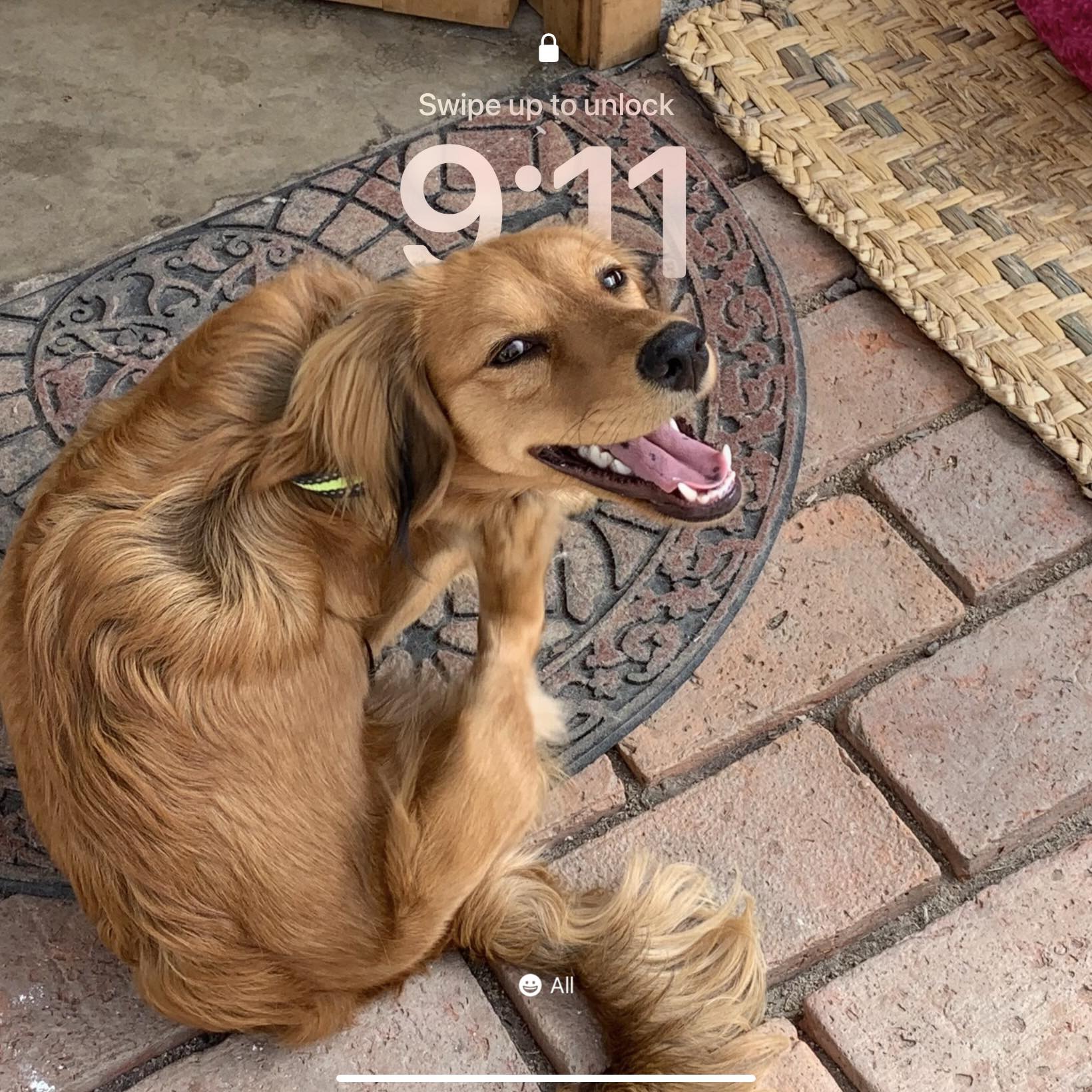 Knee slapper or groan? Leyli thought it was worth sharing. 🤩 # ...