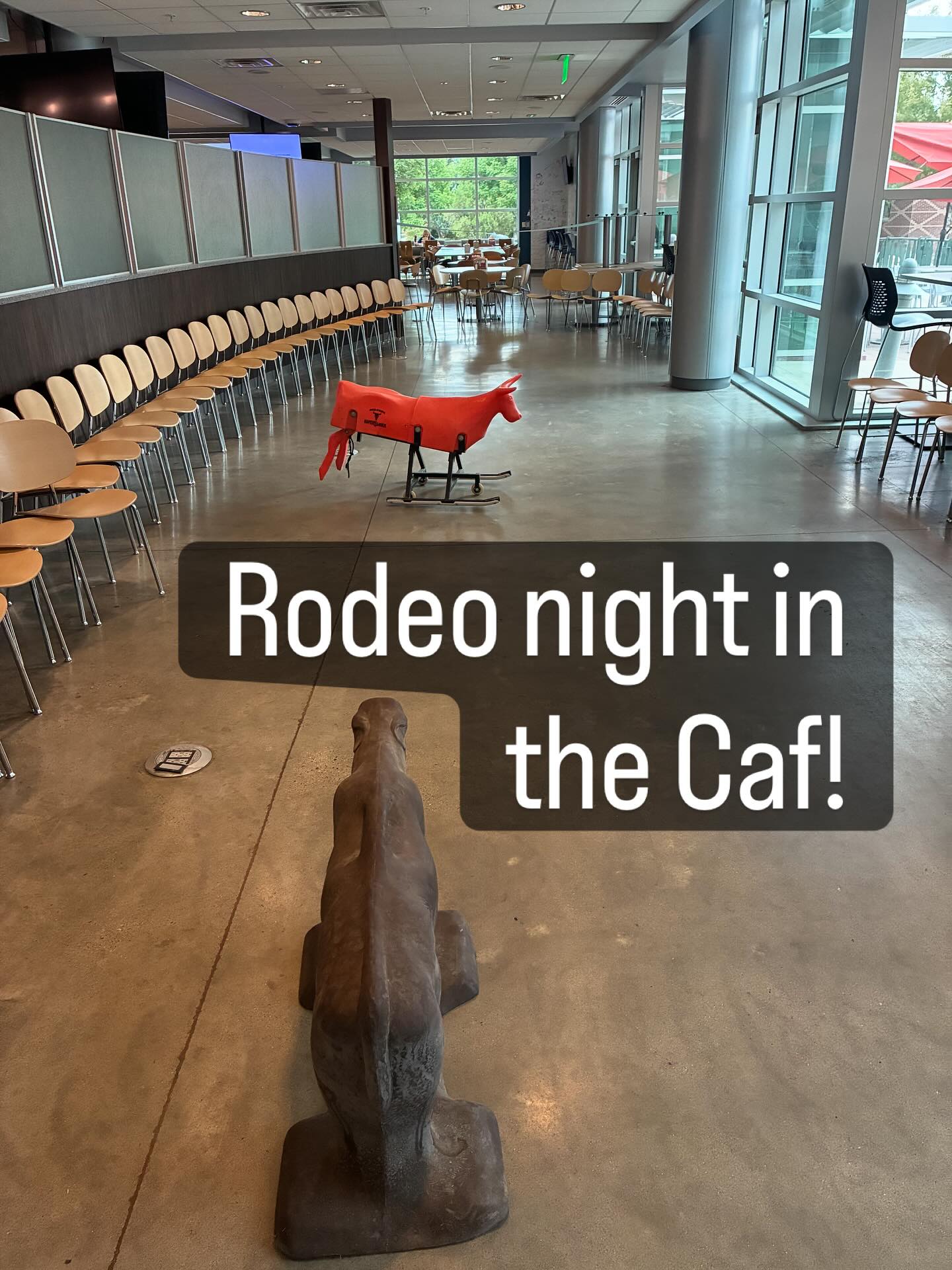 CMU Rodeo Team | Grand Junction CO
