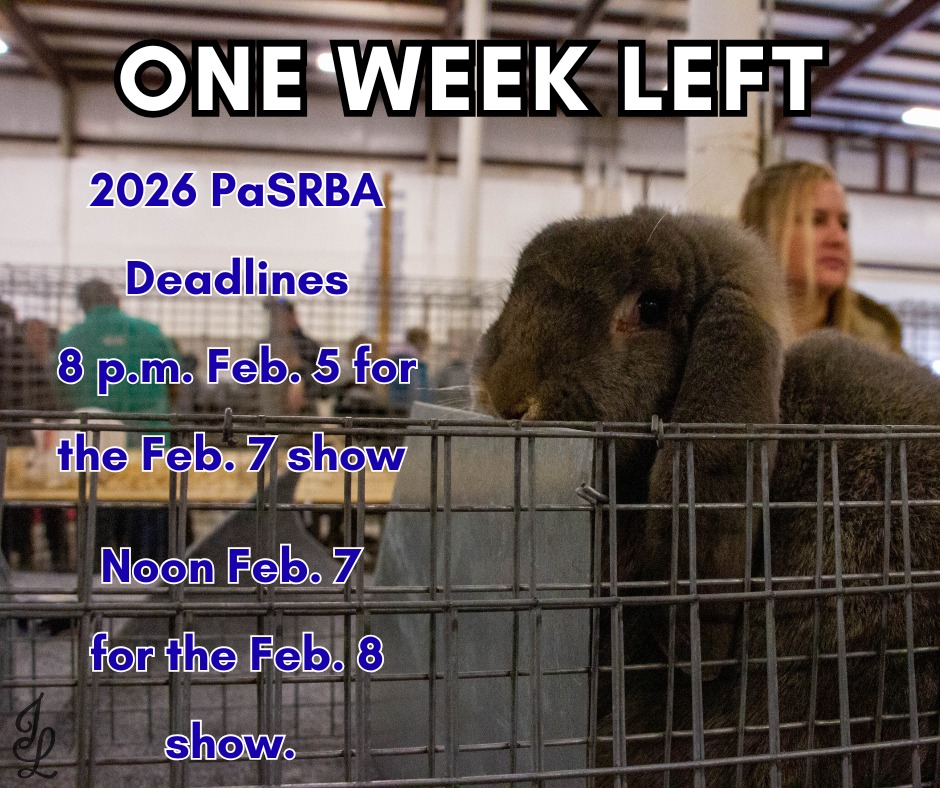Here is... - Pennsylvania State Rabbit Breeders Association | Facebook