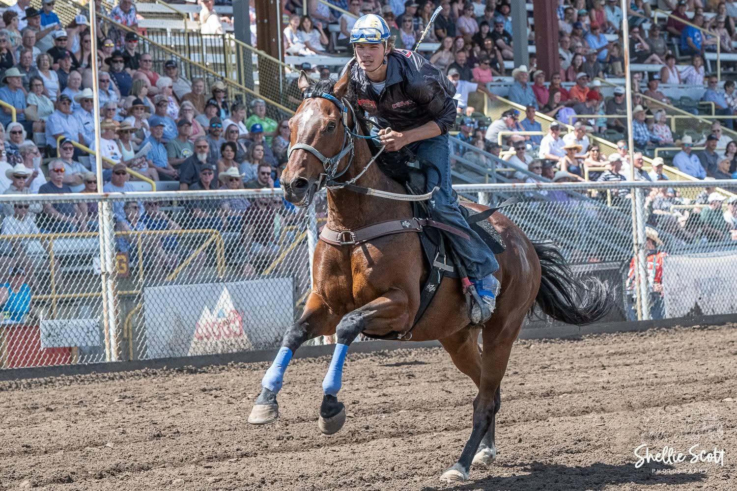 World... - World Professional Chuckwagon Association