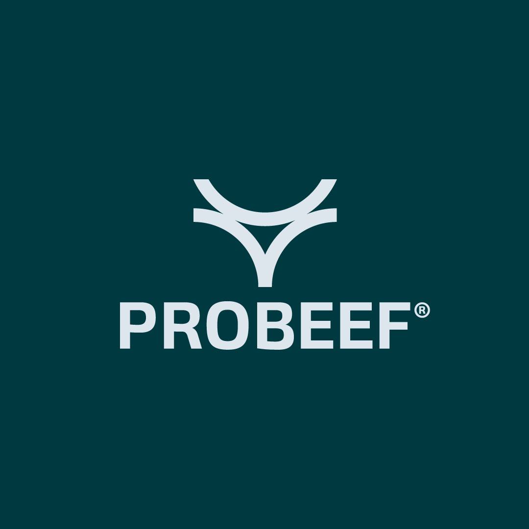 Probeef - Uma boa produção de bezerros é essencial para o início ...